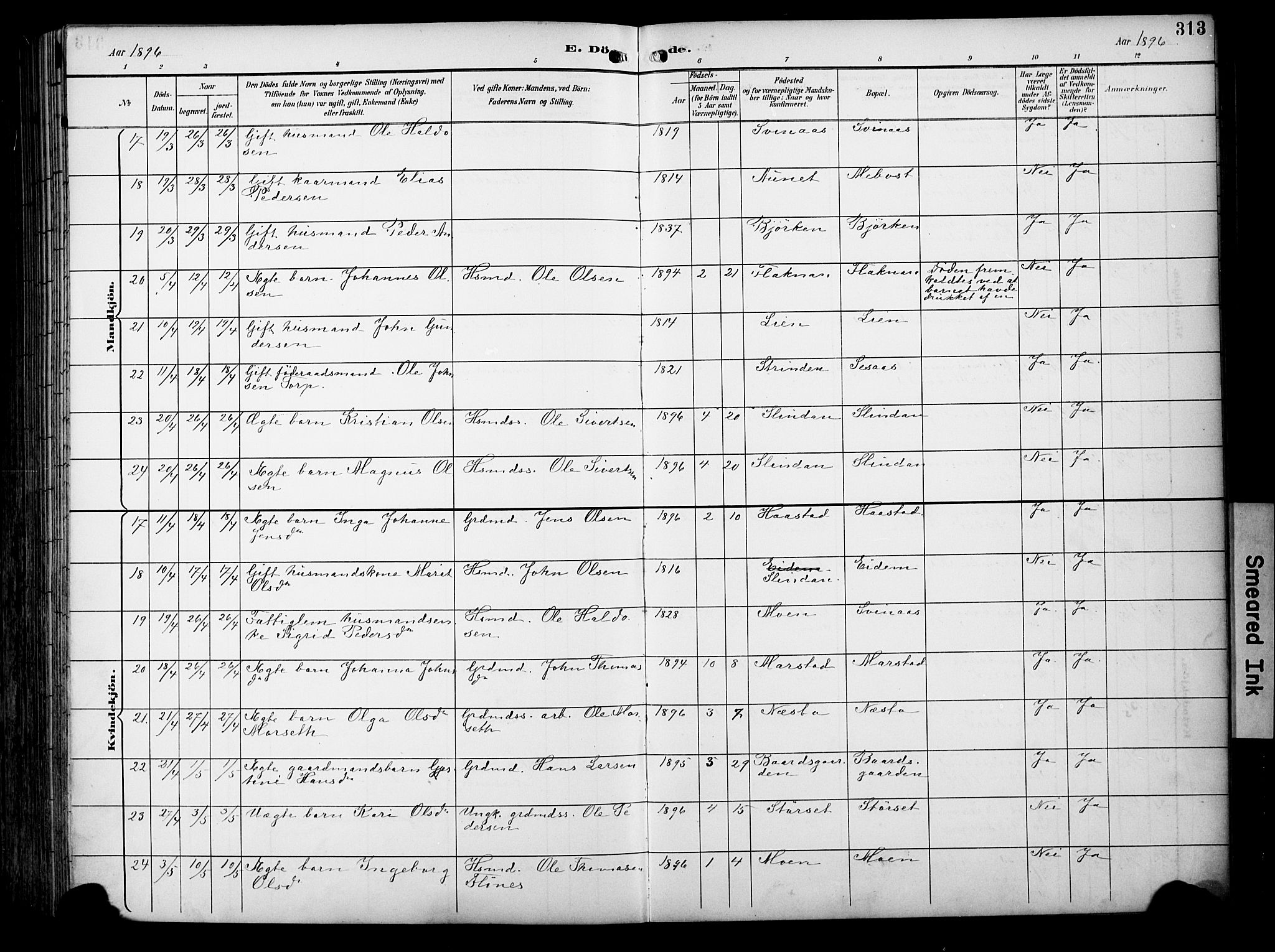 Ministerialprotokoller, klokkerbøker og fødselsregistre - Sør-Trøndelag, AV/SAT-A-1456/695/L1149: Parish register (official) no. 695A09, 1891-1902, p. 313