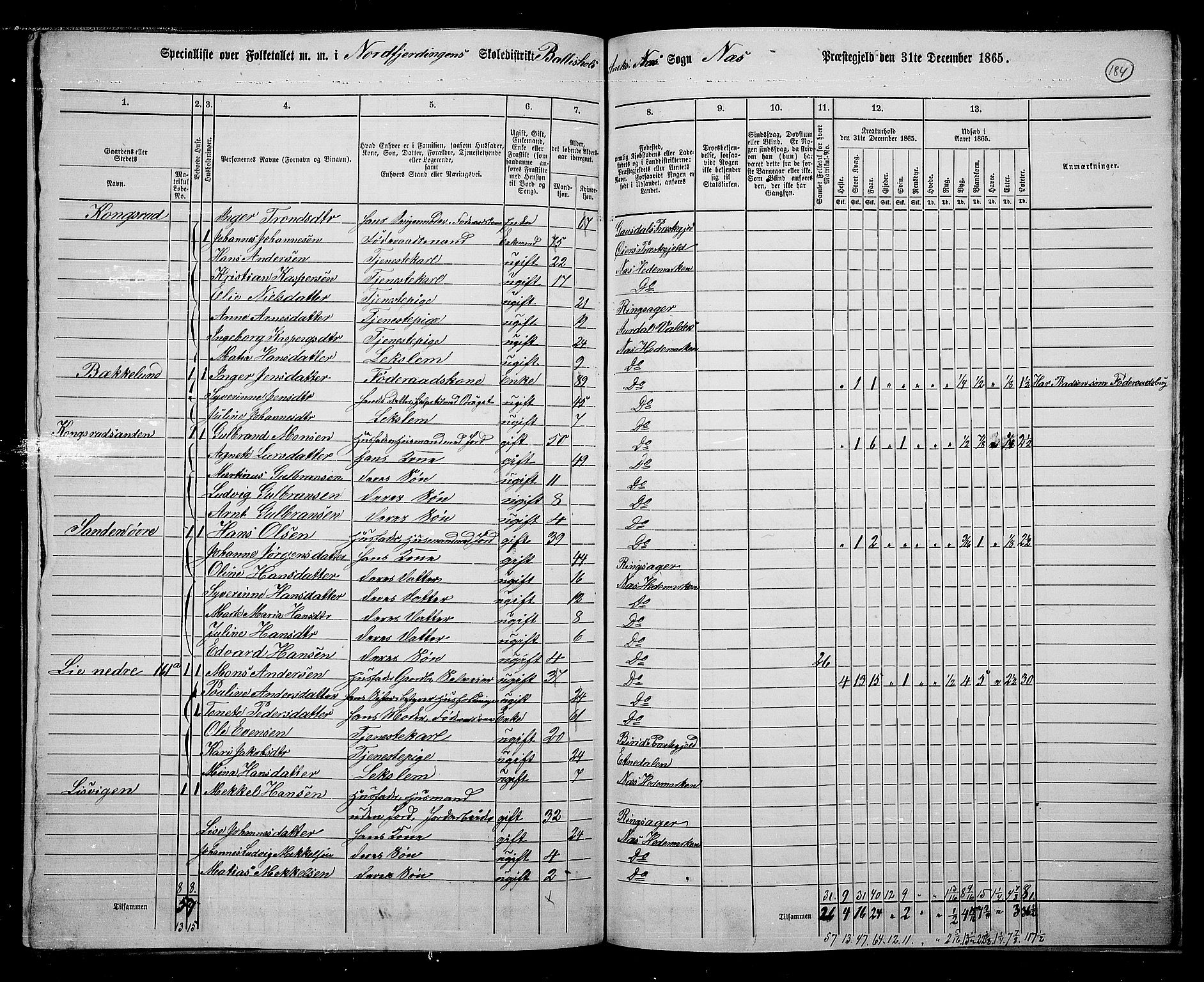 RA, 1865 census for Nes, 1865, p. 158