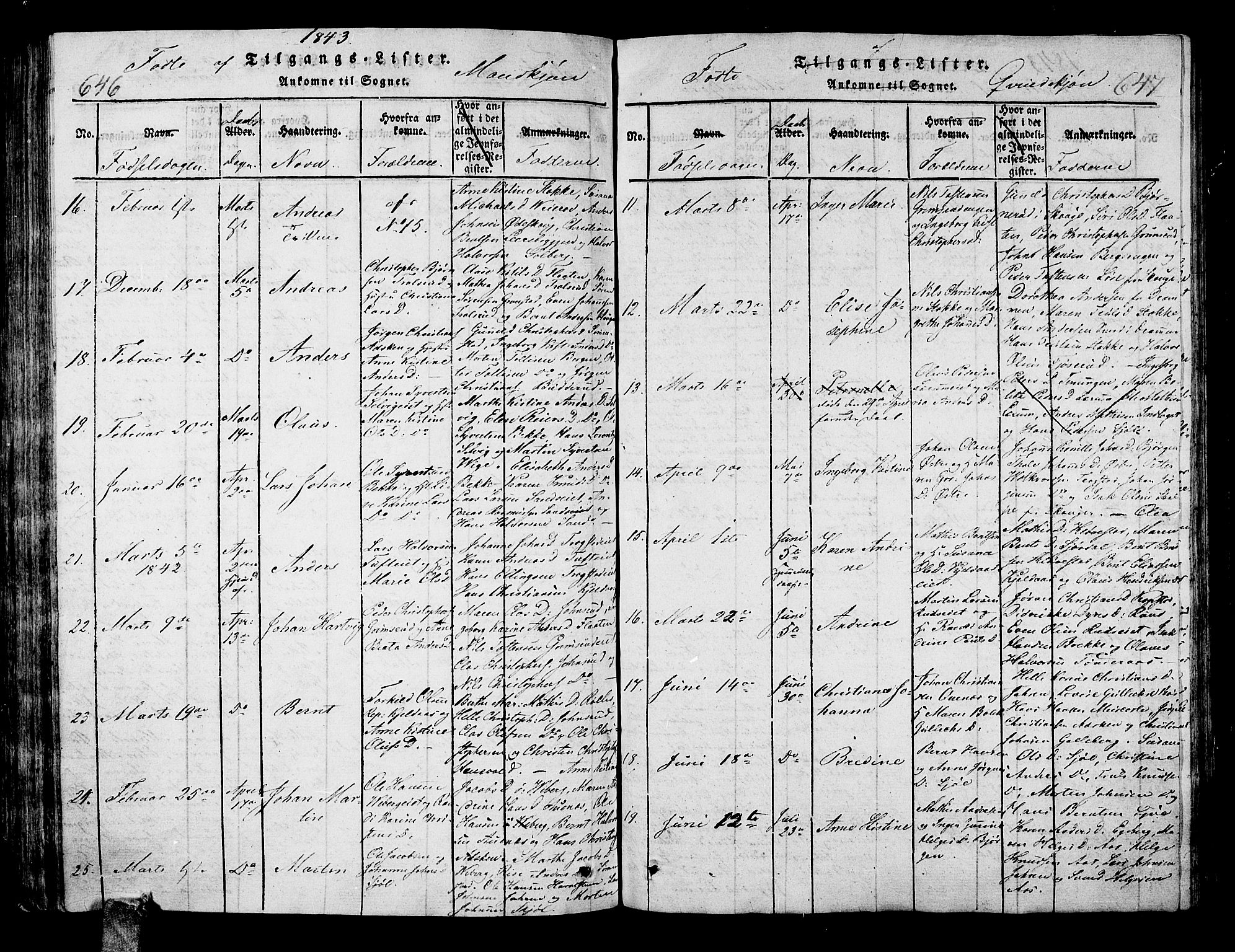 Sande Kirkebøker, AV/SAKO-A-53/G/Ga/L0001: Parish register (copy) no. 1, 1814-1847, p. 646-647