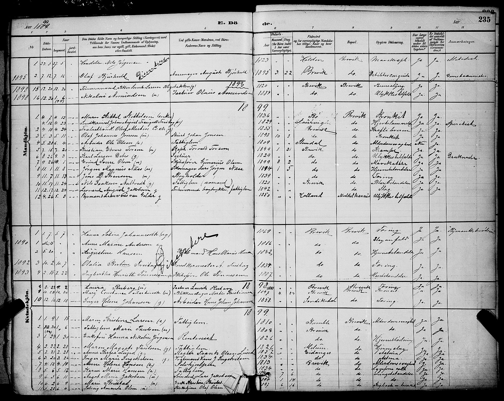 Brevik kirkebøker, AV/SAKO-A-255/G/Ga/L0004: Parish register (copy) no. 4, 1882-1900, p. 235