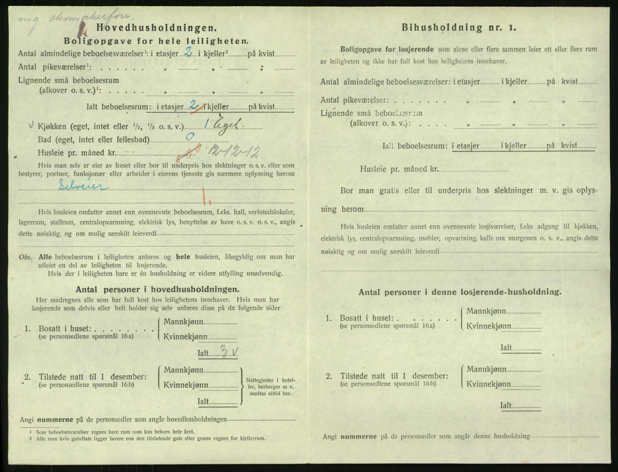 SAKO, 1920 census for Svelvik, 1920, p. 572