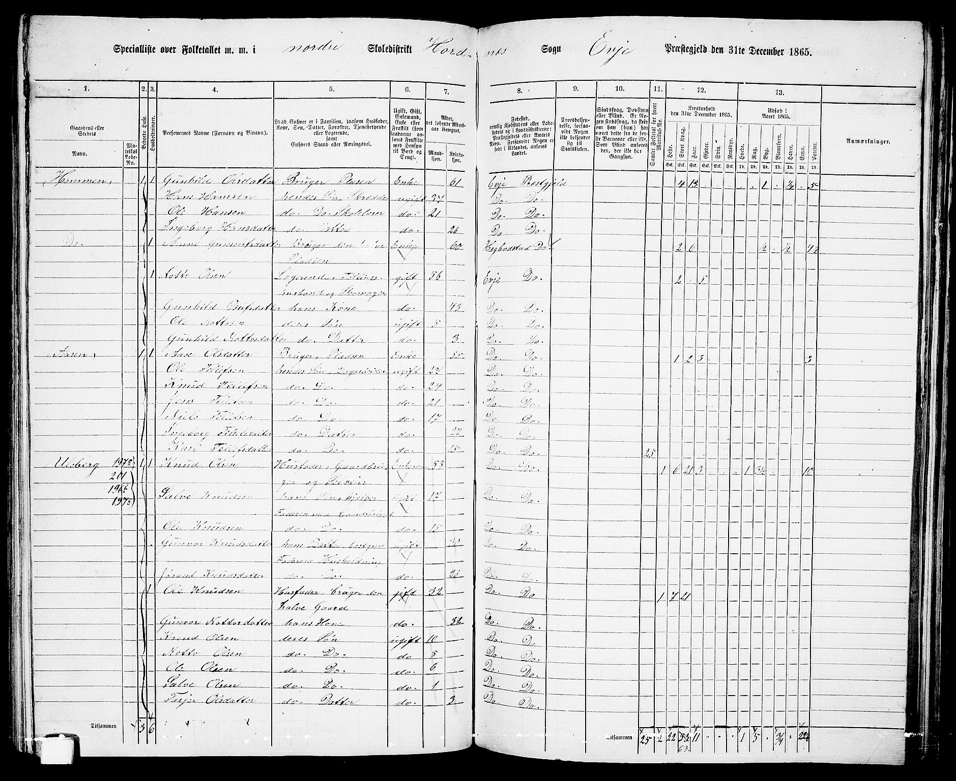 RA, 1865 census for Evje, 1865, p. 111