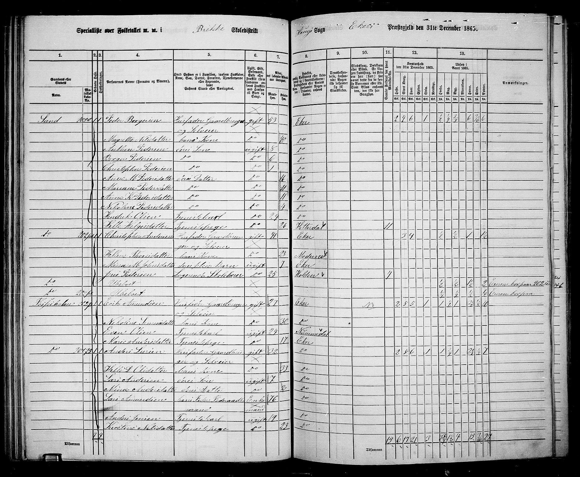 RA, 1865 census for Eiker, 1865, p. 78