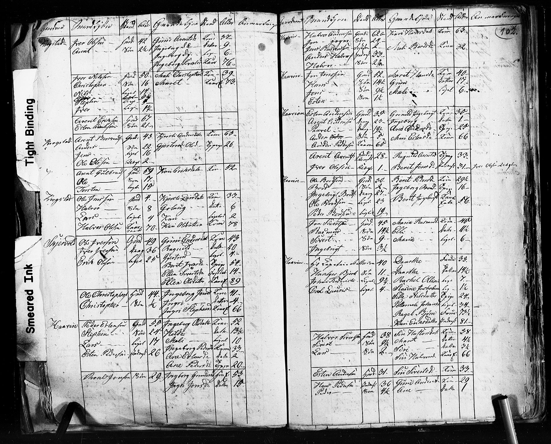 , 1825 Census for Støren parish, 1825, p. 102