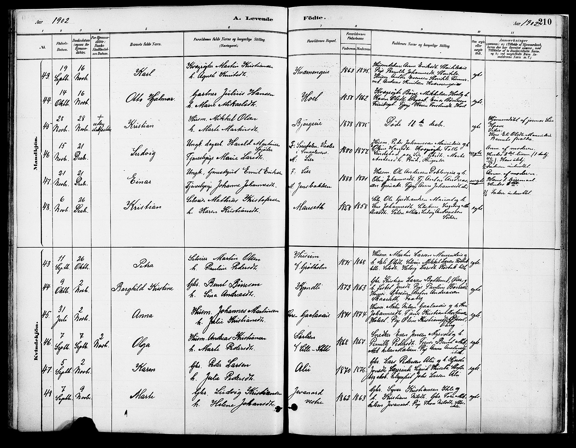 Vang prestekontor, Hedmark, SAH/PREST-008/H/Ha/Haa/L0018A: Parish register (official) no. 18A, 1880-1906, p. 210