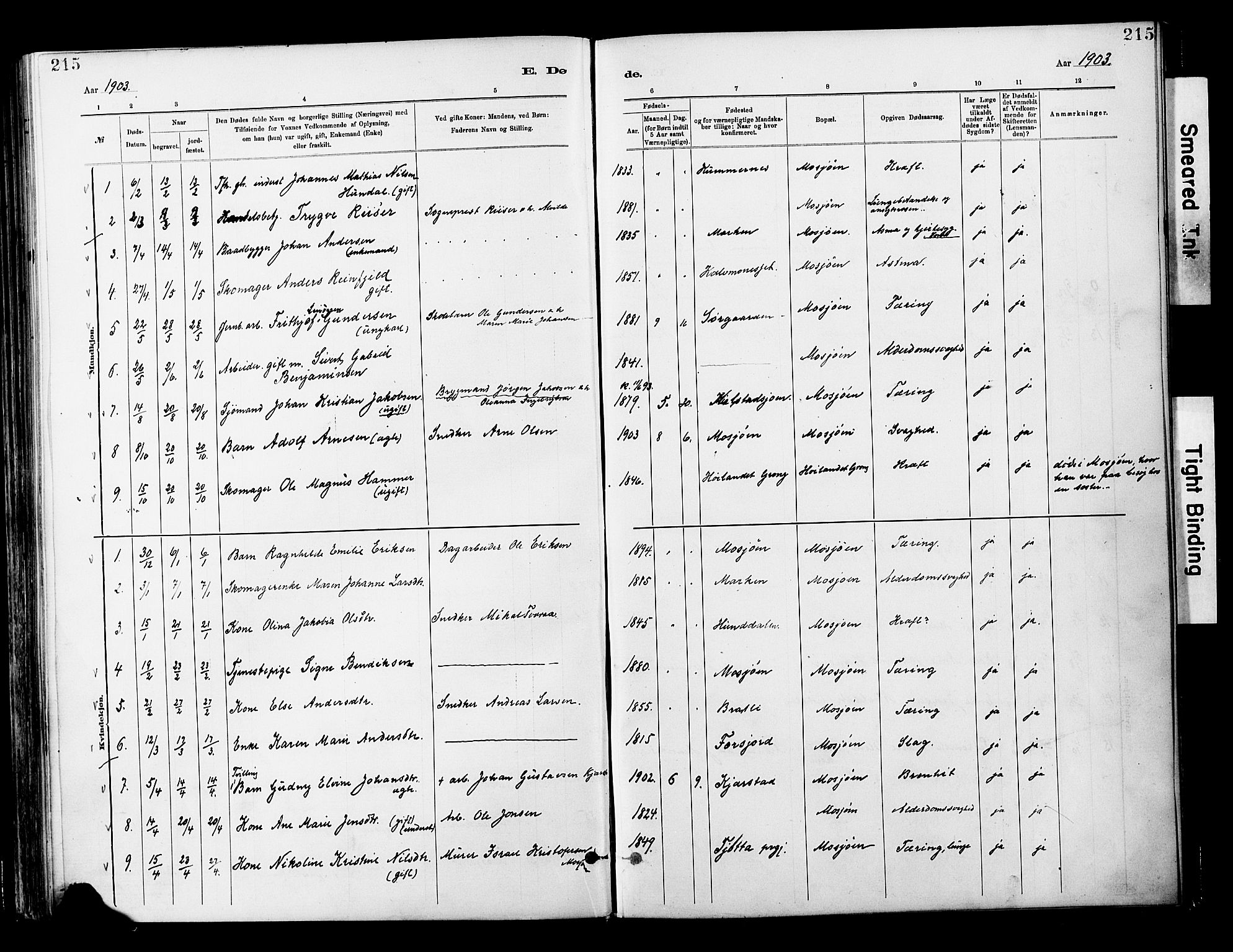 Ministerialprotokoller, klokkerbøker og fødselsregistre - Nordland, AV/SAT-A-1459/820/L0296: Parish register (official) no. 820A17, 1880-1903, p. 215