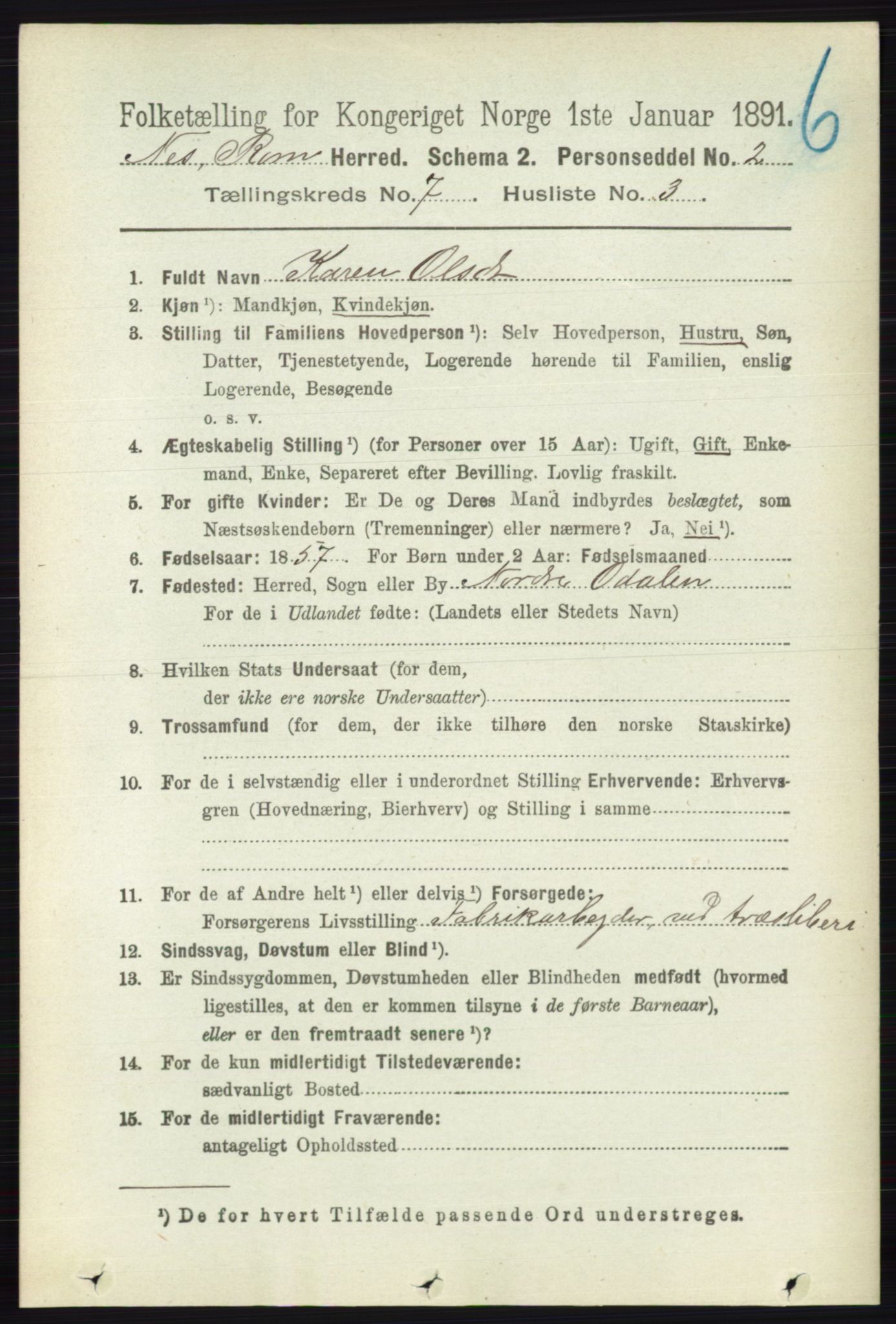 RA, 1891 census for 0236 Nes, 1891, p. 4038