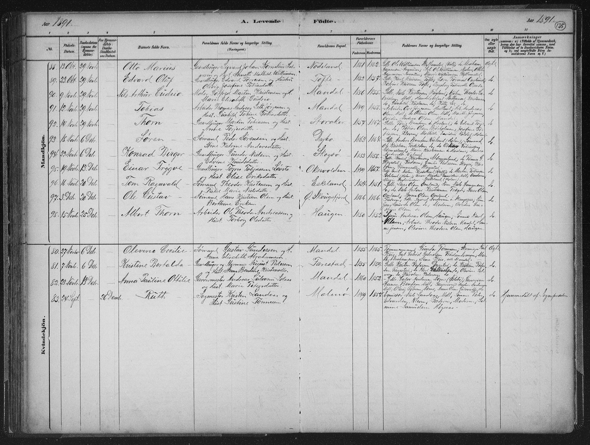 Mandal sokneprestkontor, SAK/1111-0030/F/Fb/Fba/L0011: Parish register (copy) no. B 5, 1880-1898, p. 125