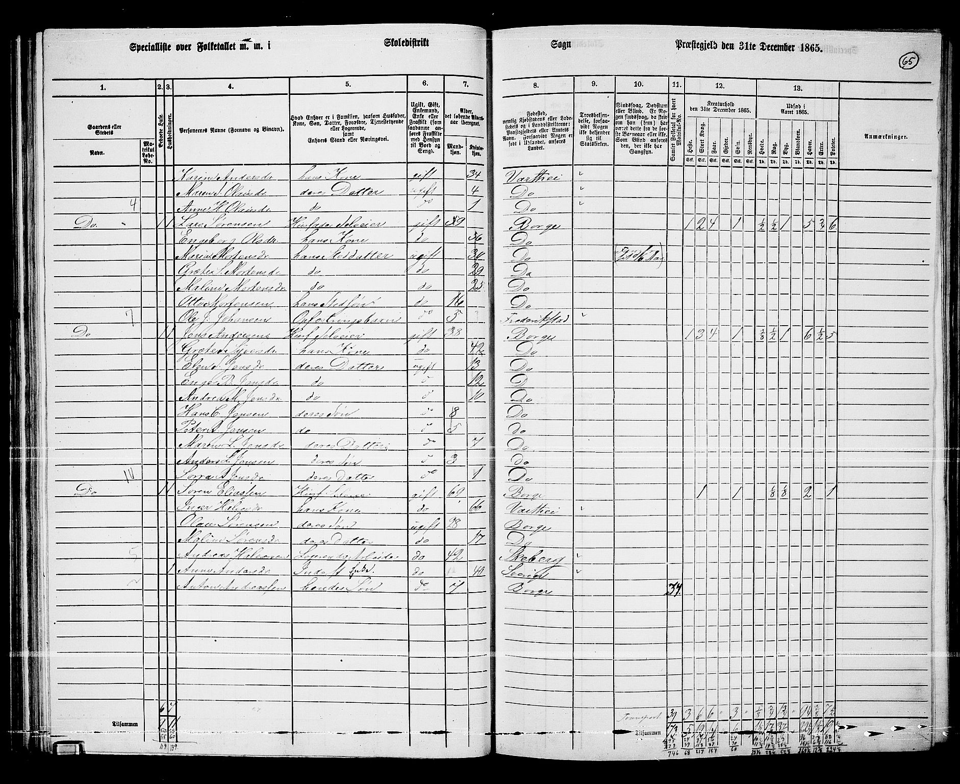 RA, 1865 census for Borge, 1865, p. 63