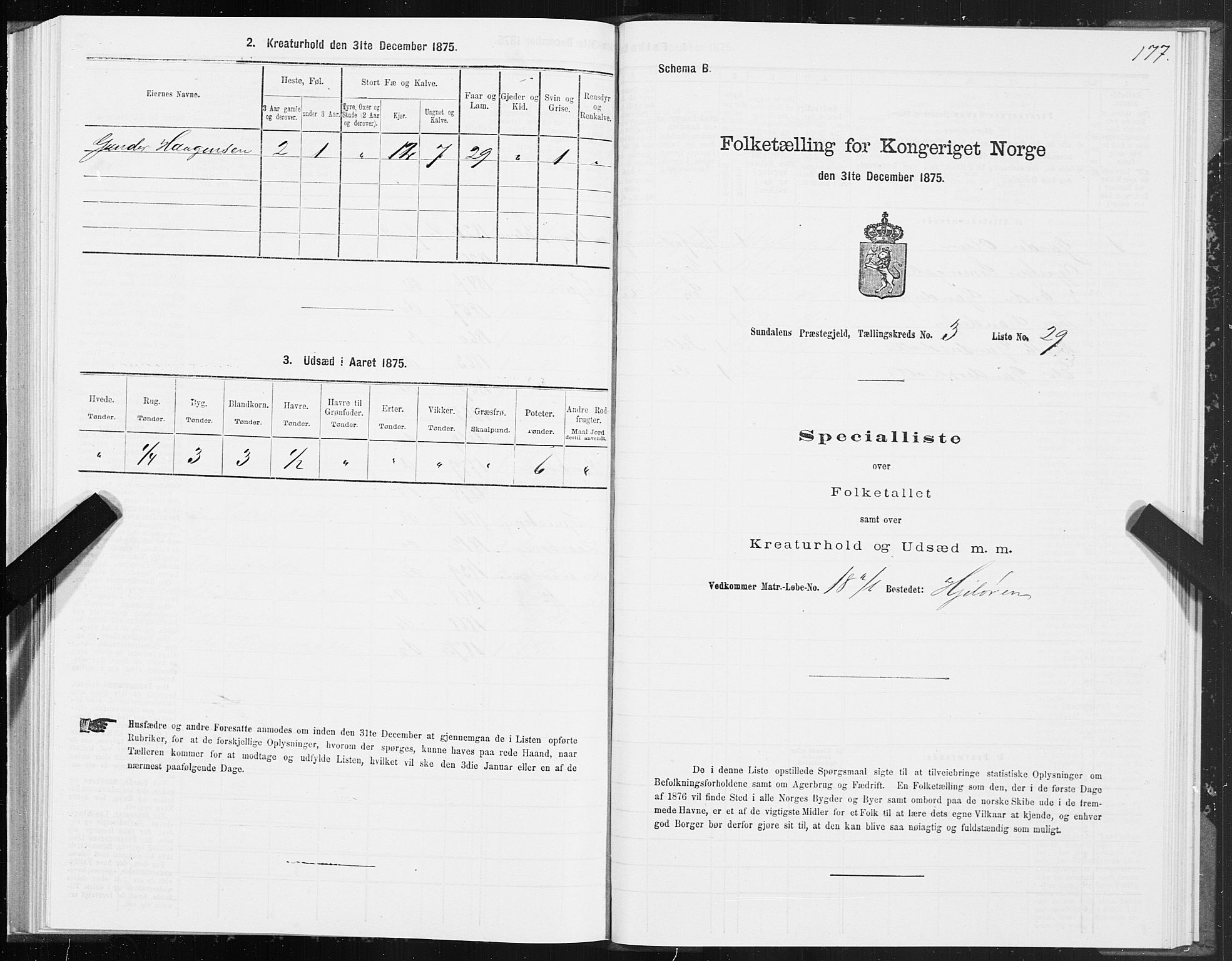 SAT, 1875 census for 1563P Sunndal, 1875, p. 1177