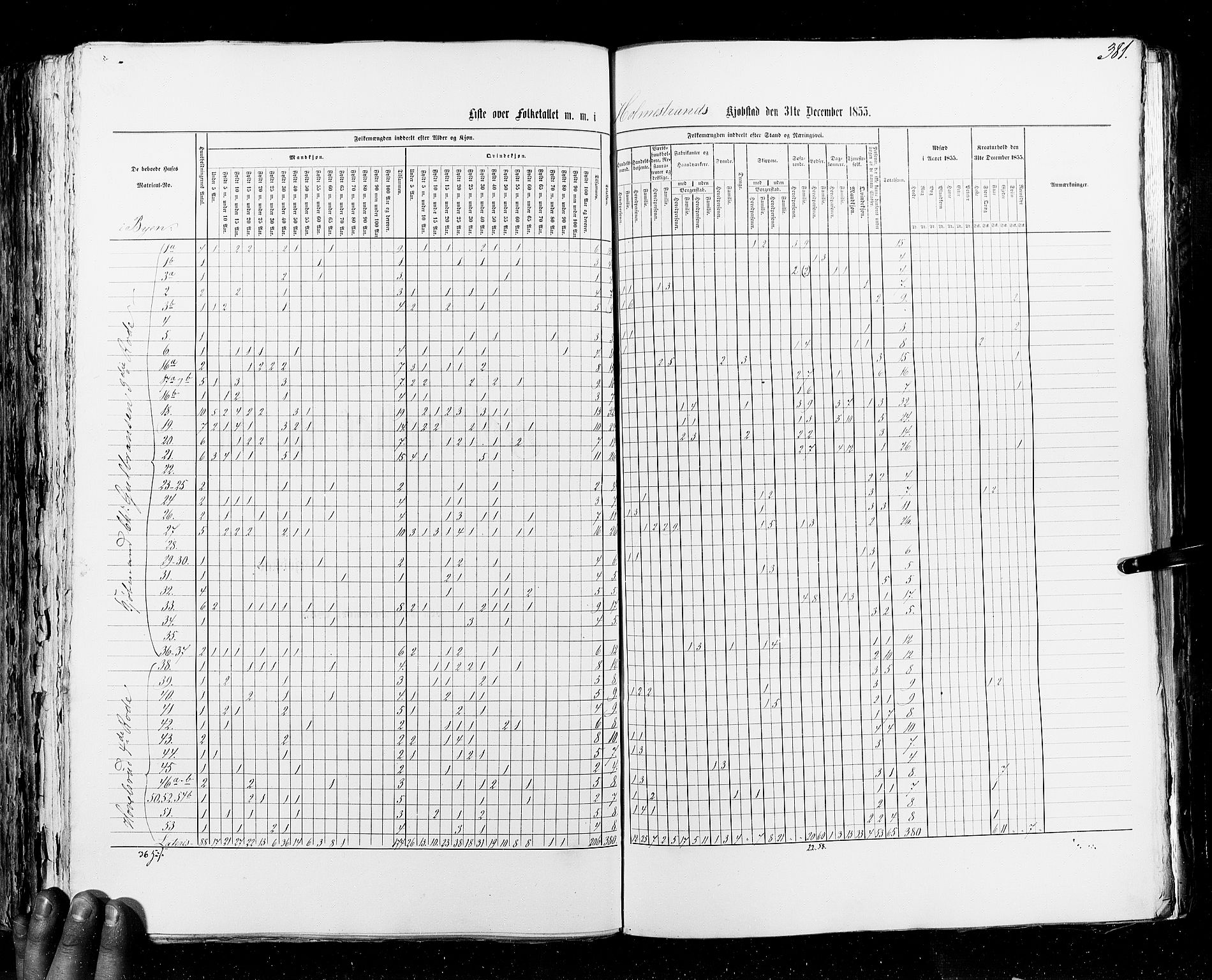 RA, Census 1855, vol. 7: Fredrikshald-Kragerø, 1855, p. 381