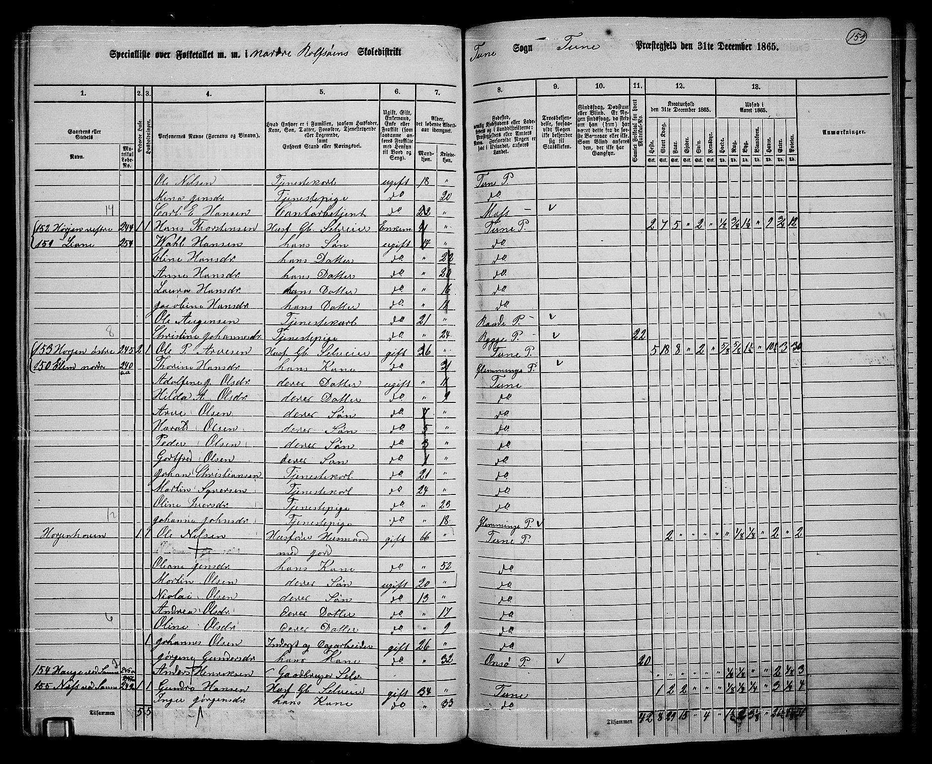 RA, 1865 census for Tune, 1865, p. 233