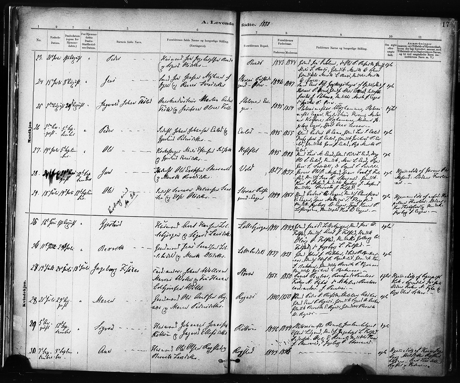 Ministerialprotokoller, klokkerbøker og fødselsregistre - Sør-Trøndelag, SAT/A-1456/687/L1002: Parish register (official) no. 687A08, 1878-1890, p. 17