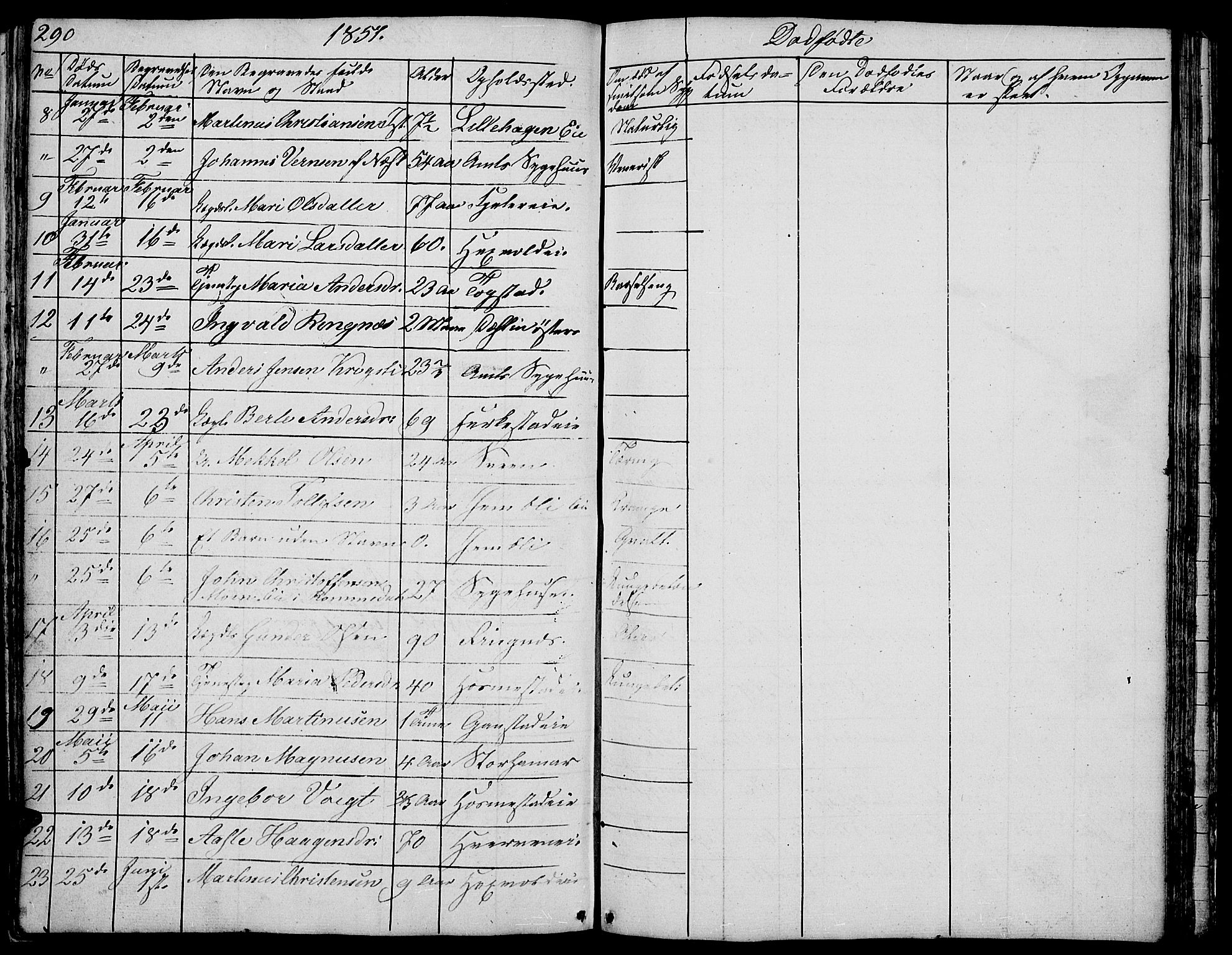 Stange prestekontor, AV/SAH-PREST-002/L/L0002: Parish register (copy) no. 2, 1838-1879, p. 290