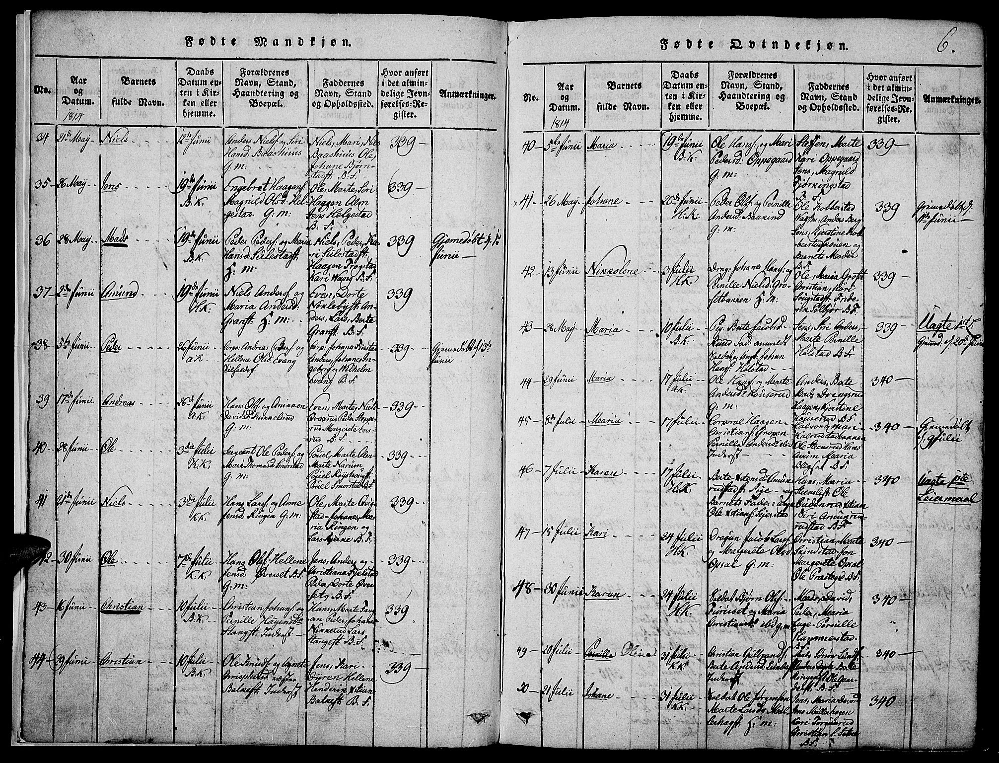 Toten prestekontor, SAH/PREST-102/H/Ha/Haa/L0009: Parish register (official) no. 9, 1814-1820, p. 6