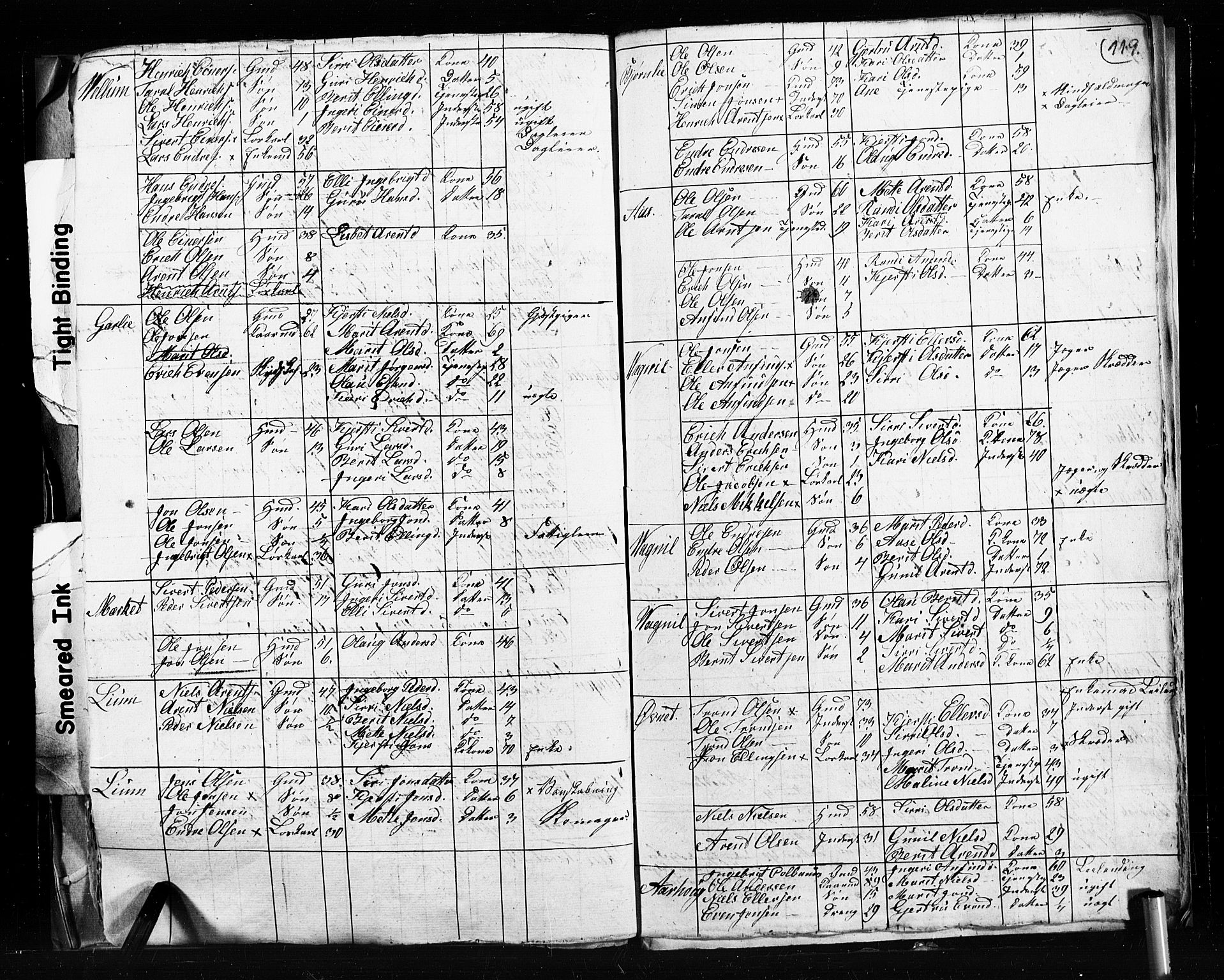 , 1825 Census for Støren parish, 1825, p. 119