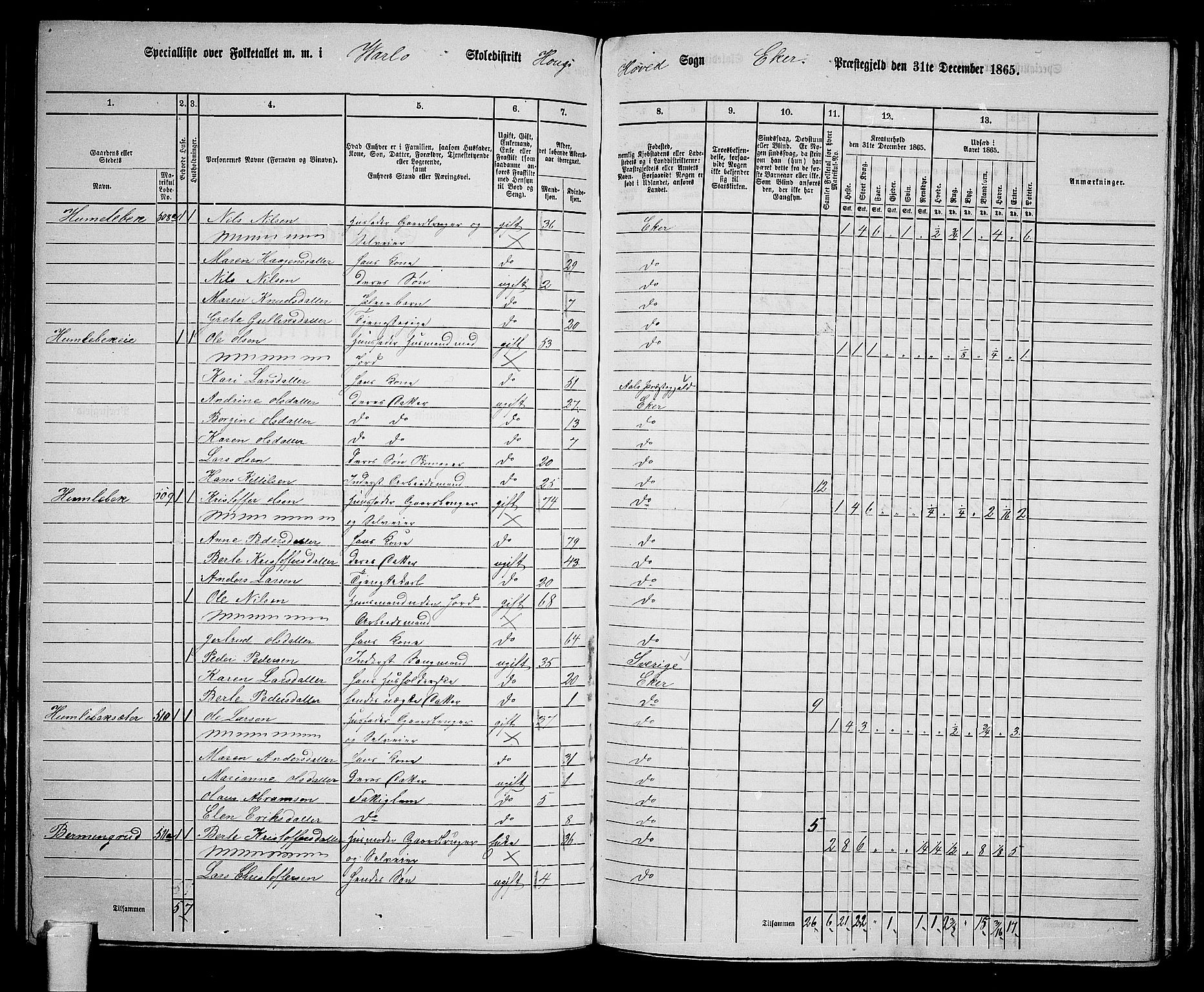 RA, 1865 census for Eiker, 1865, p. 136