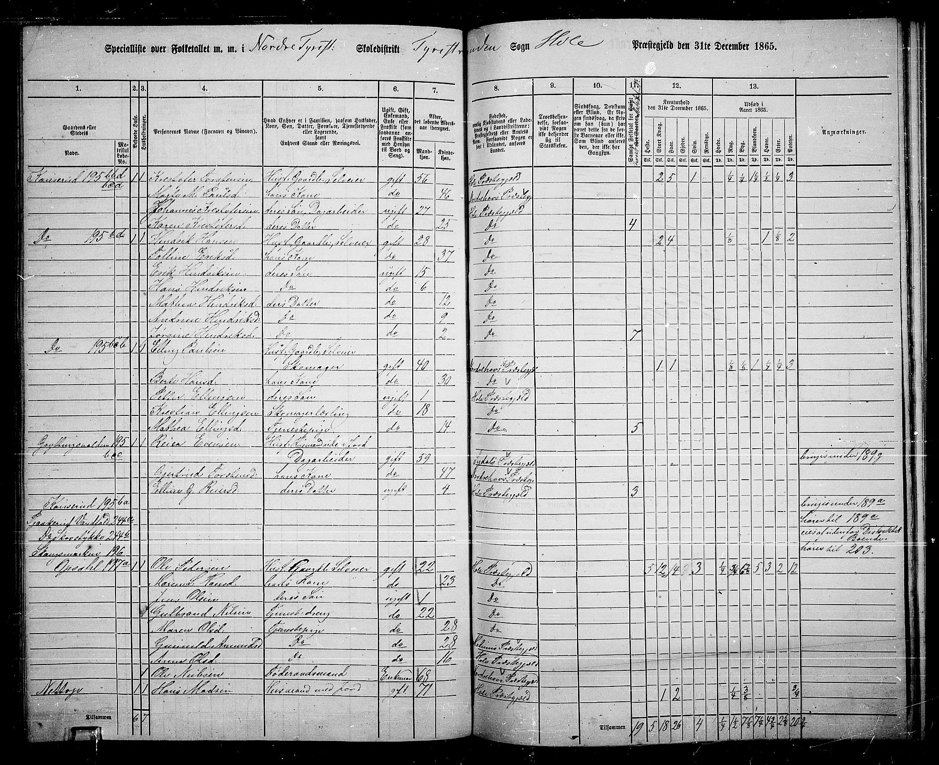 RA, 1865 census for Hole, 1865, p. 132