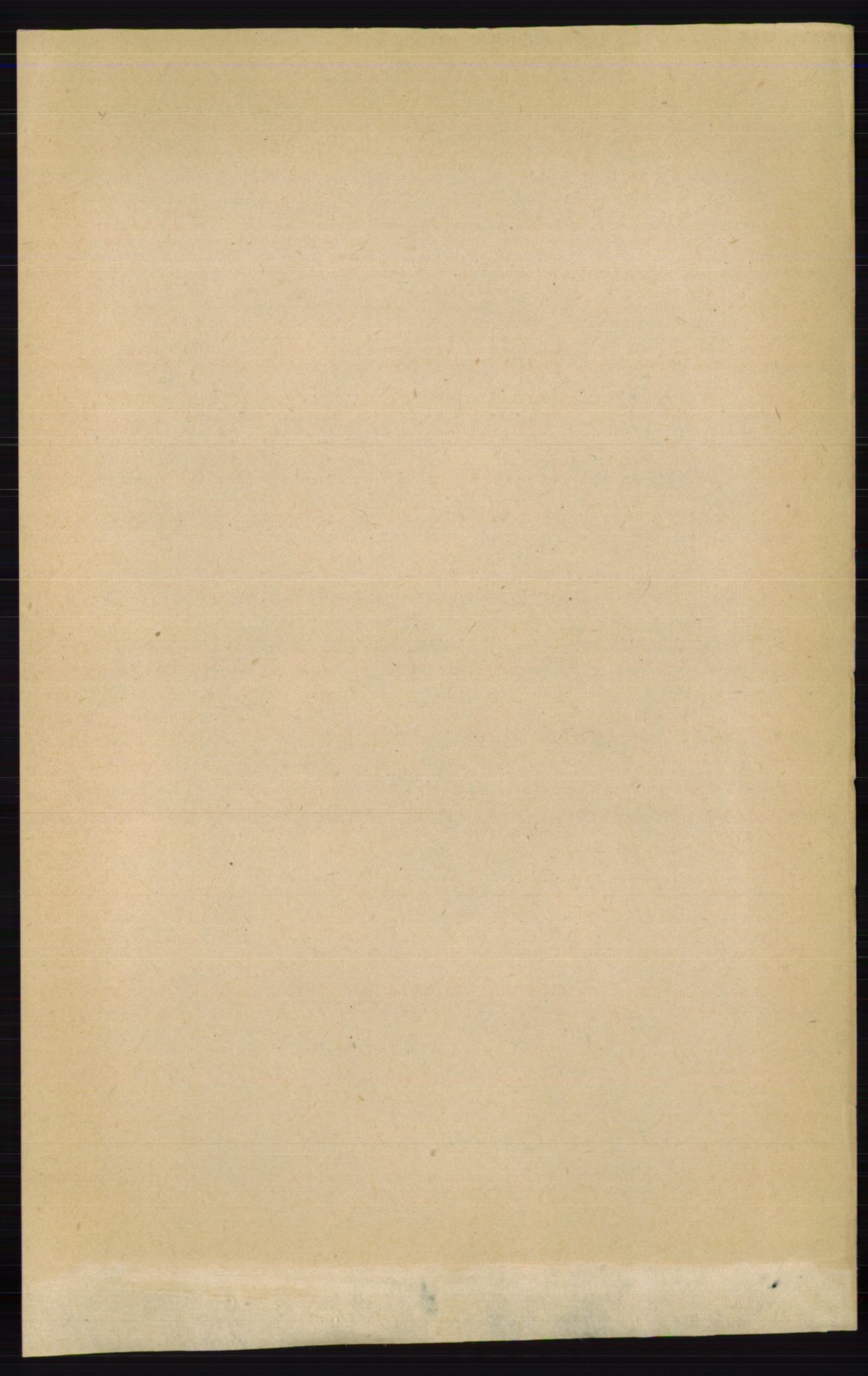 RA, 1891 census for 0419 Sør-Odal, 1891, p. 6571