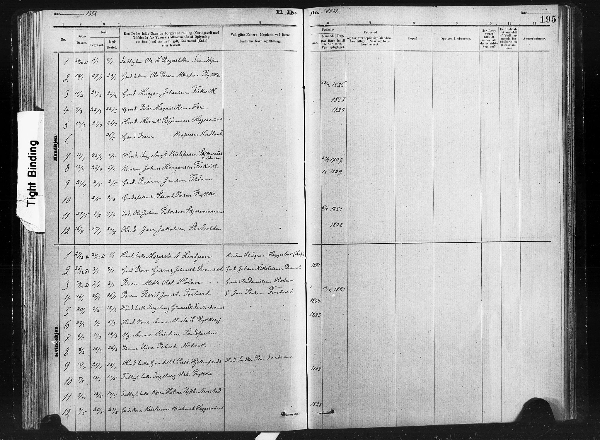 Ministerialprotokoller, klokkerbøker og fødselsregistre - Nord-Trøndelag, SAT/A-1458/712/L0103: Parish register (copy) no. 712C01, 1878-1917, p. 195