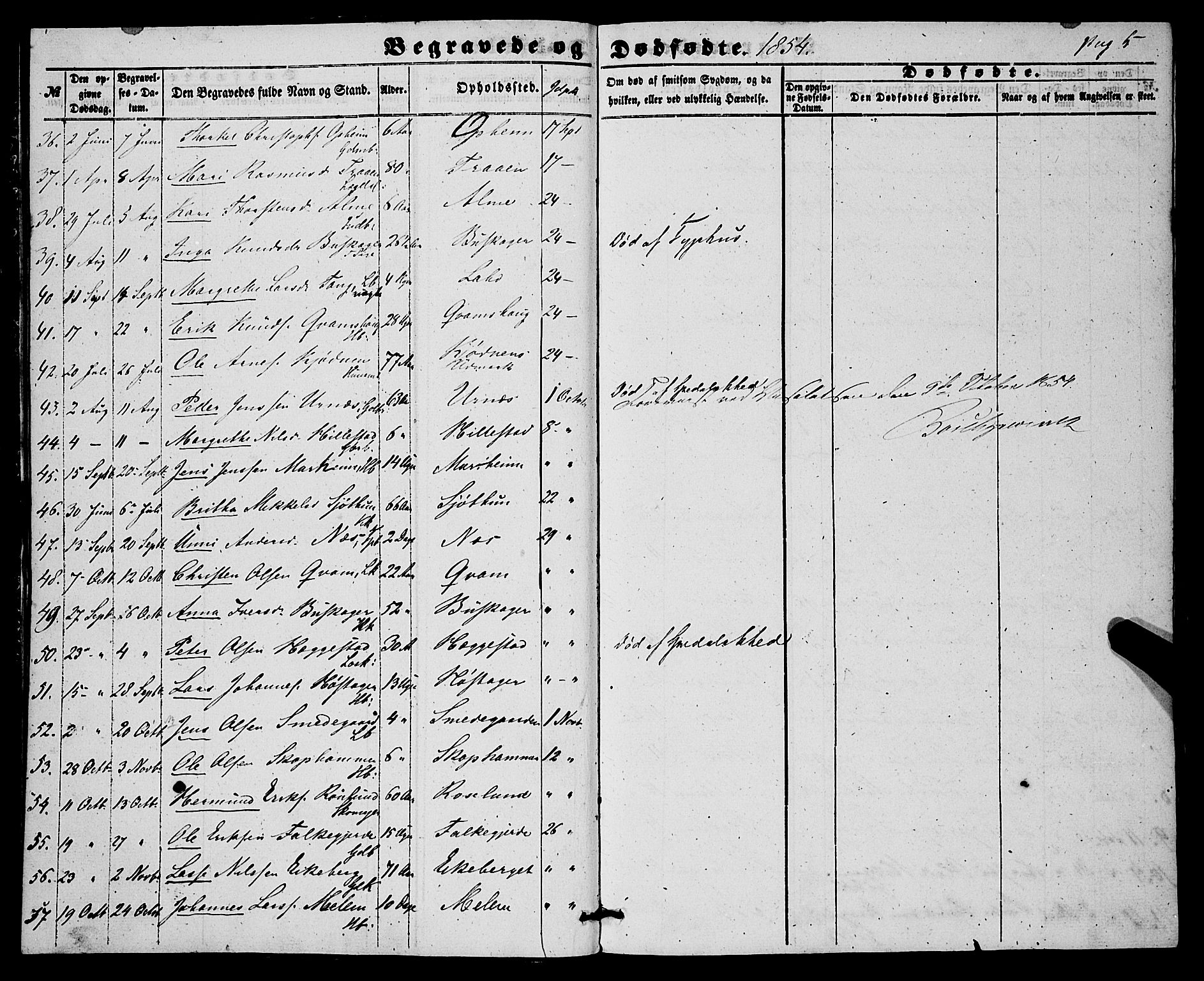 Hafslo sokneprestembete, AV/SAB-A-80301/H/Haa/Haaa/L0010: Parish register (official) no. A 10, 1853-1876, p. 5