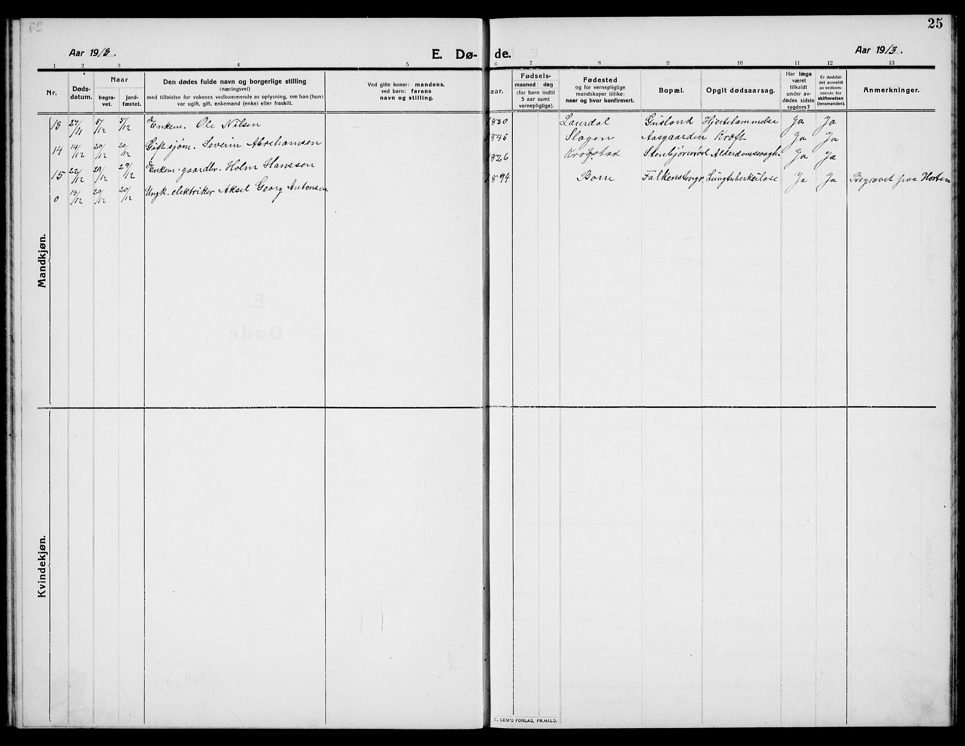 Borre kirkebøker, AV/SAKO-A-338/G/Ga/L0007: Parish register (copy) no. I 7, 1910-1920, p. 25