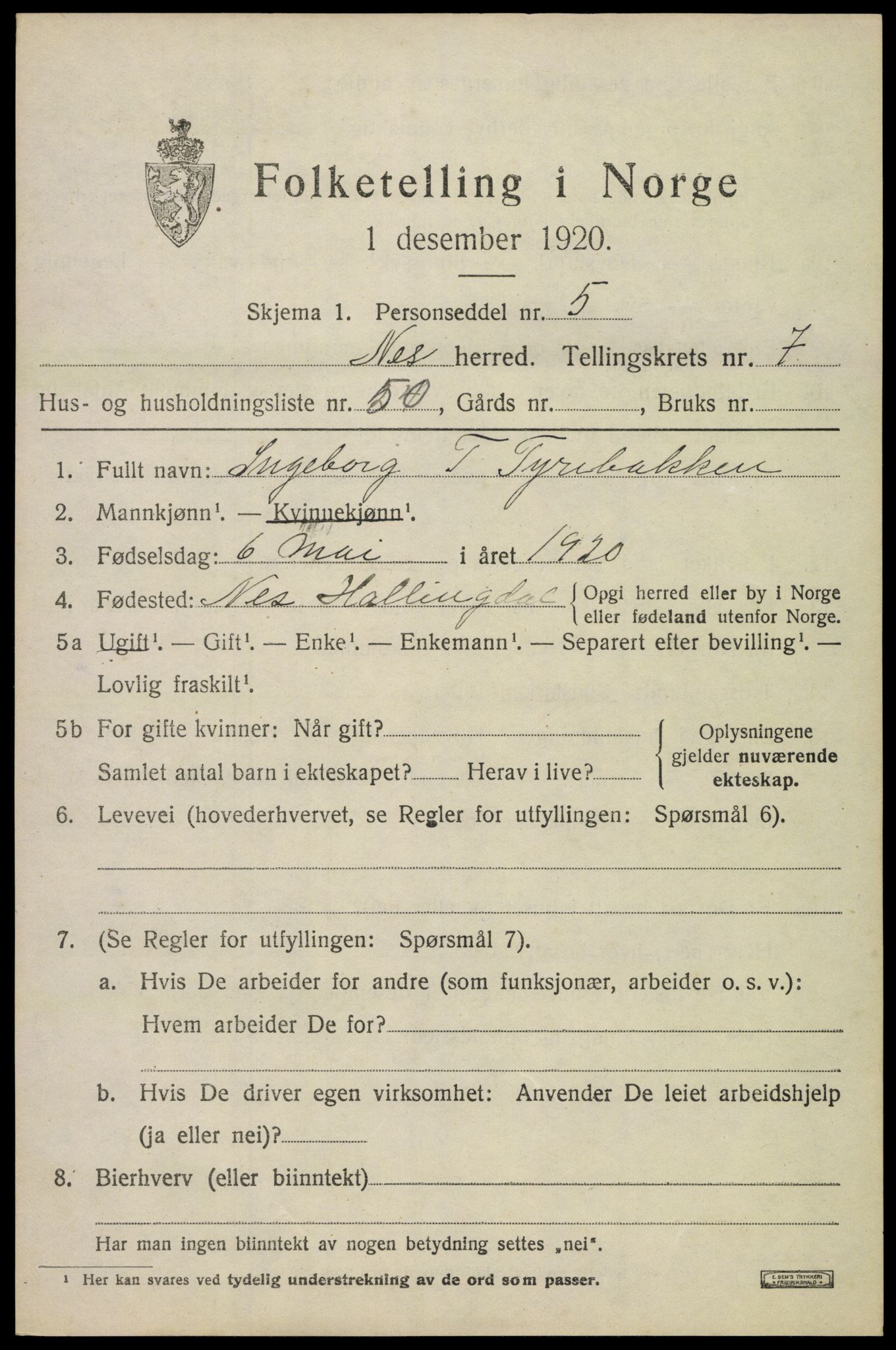 SAKO, 1920 census for Nes (Buskerud), 1920, p. 5062