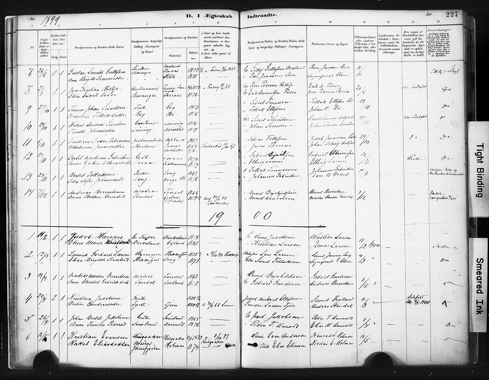 Sokndal sokneprestkontor, SAST/A-101808: Parish register (official) no. A 11.2, 1887-1905, p. 227