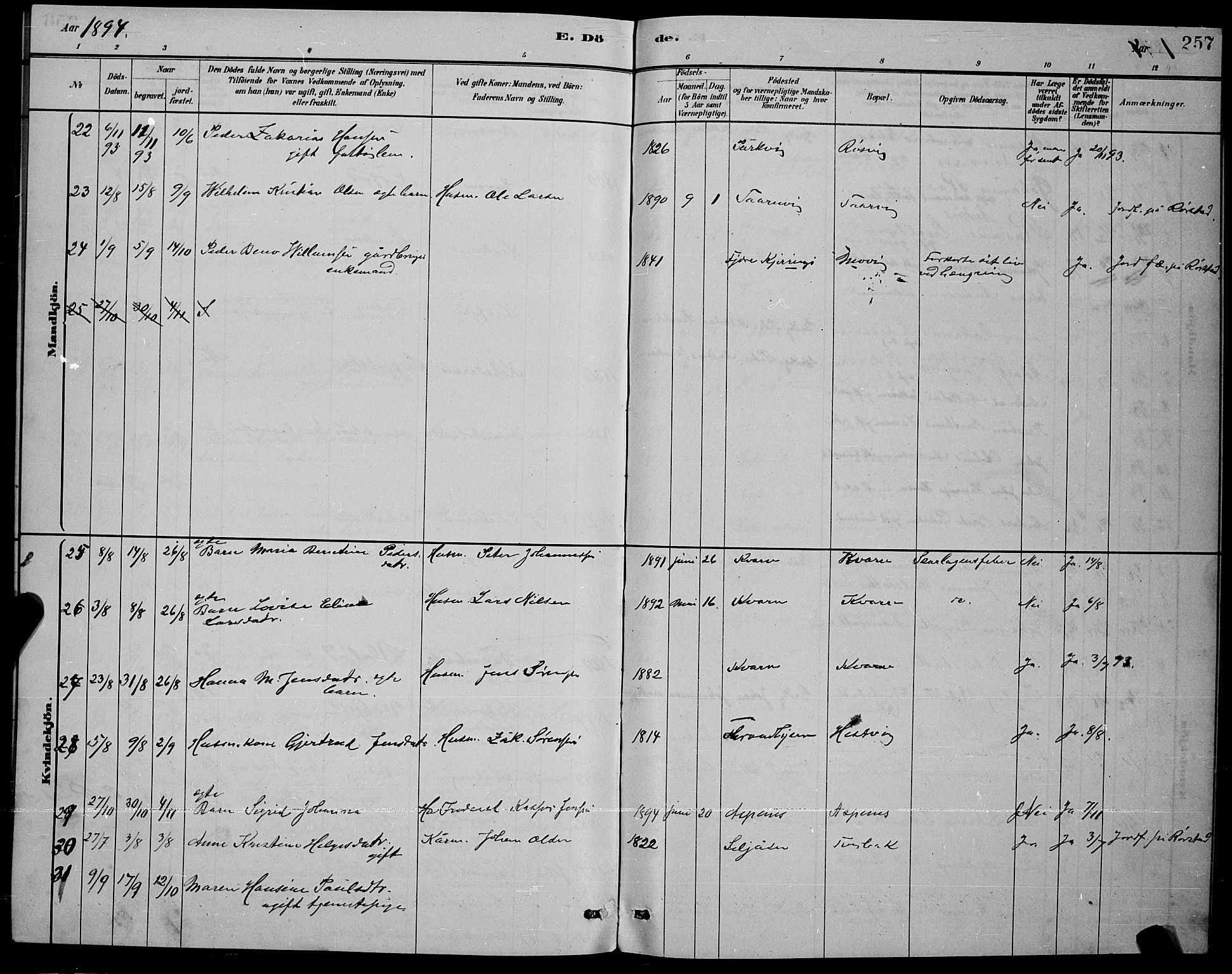 Ministerialprotokoller, klokkerbøker og fødselsregistre - Nordland, AV/SAT-A-1459/853/L0772: Parish register (official) no. 853A11, 1881-1900, p. 257