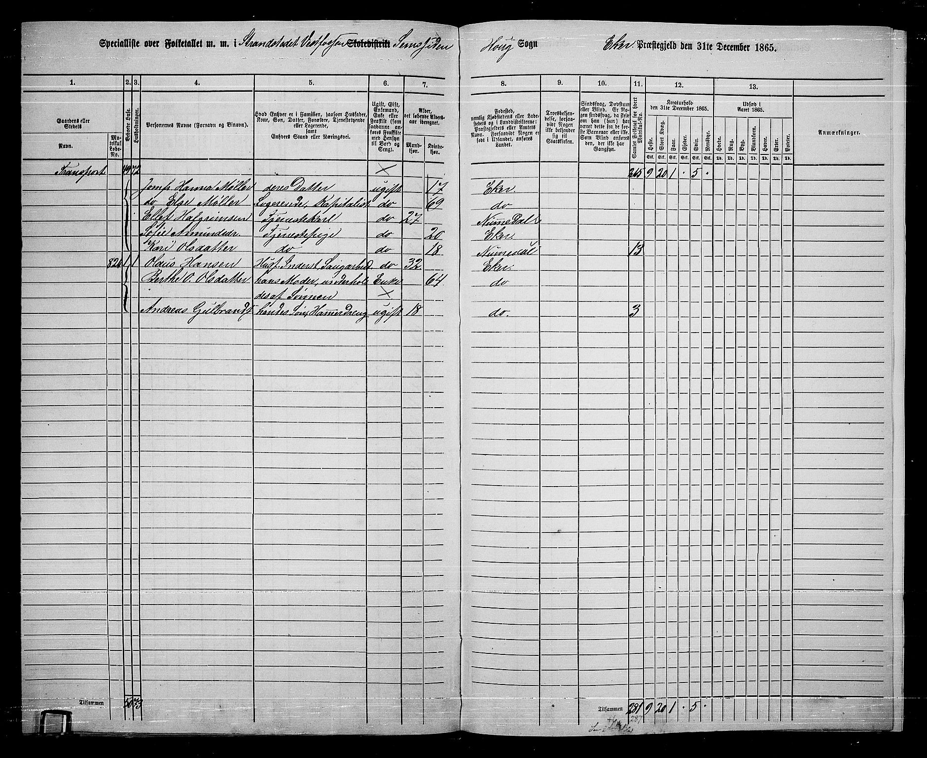RA, 1865 census for Eiker, 1865, p. 263
