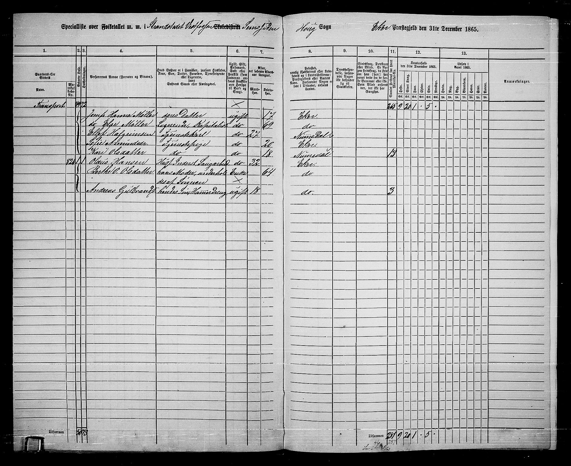 RA, 1865 census for Eiker, 1865, p. 263