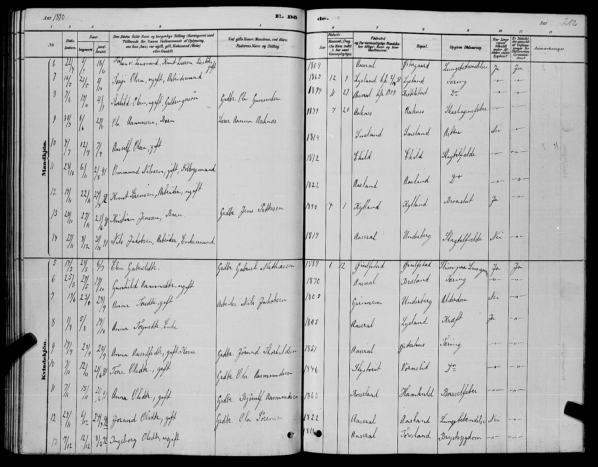 Åseral sokneprestkontor, AV/SAK-1111-0051/F/Fb/L0002: Parish register (copy) no. B 2, 1878-1899, p. 212