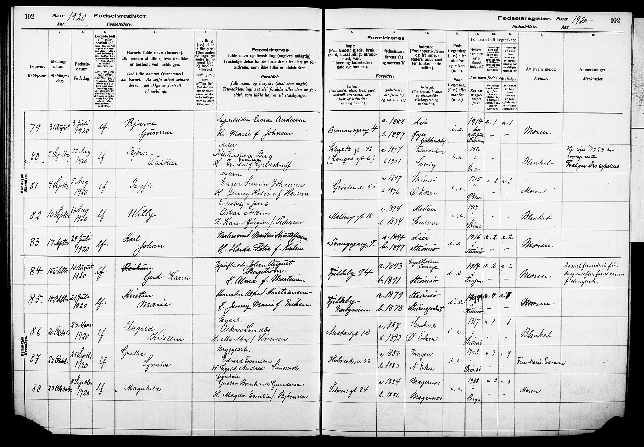 Strømsø kirkebøker, AV/SAKO-A-246/J/Ja/L0001: Birth register no. I 1, 1916-1925, p. 102