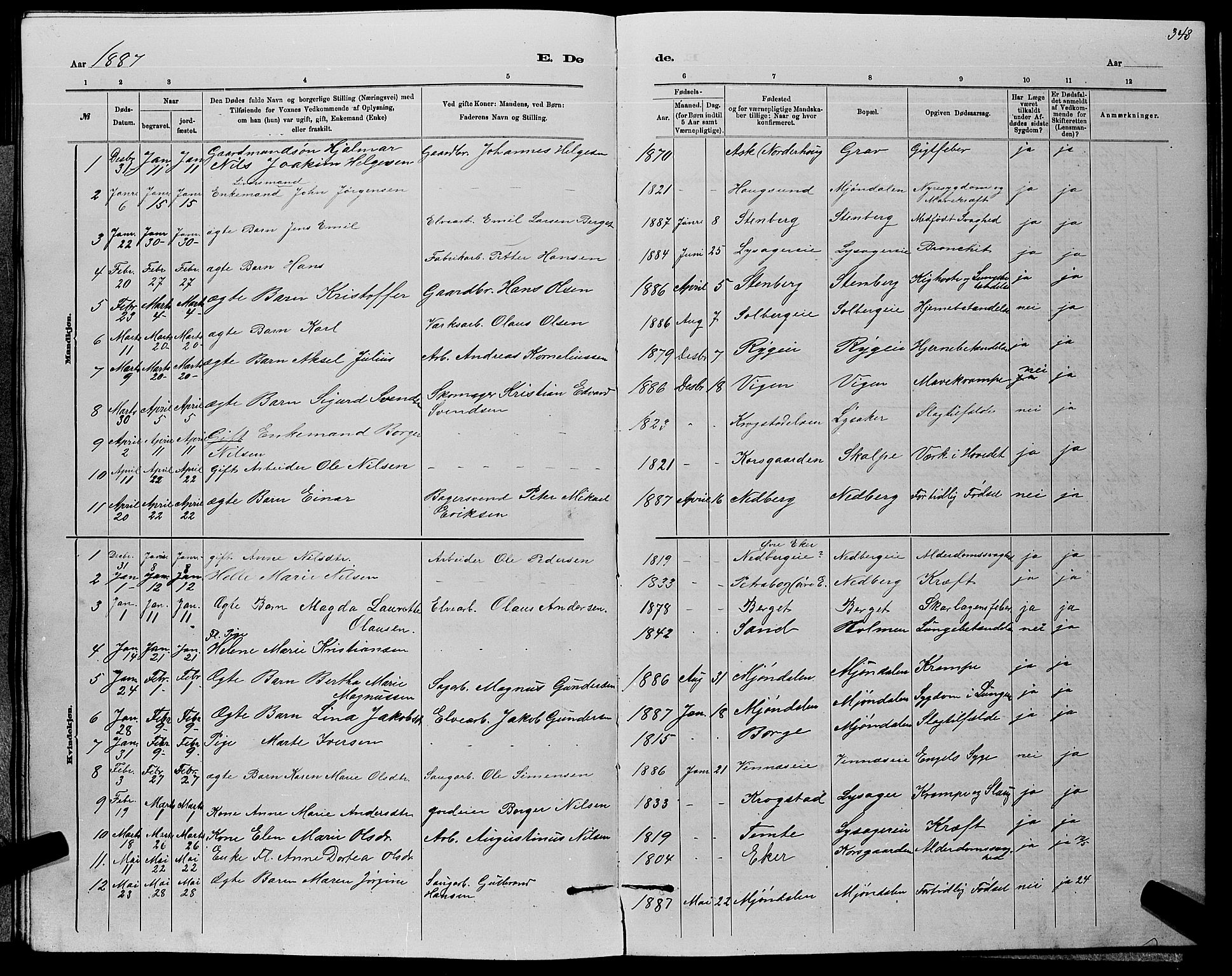 Nedre Eiker kirkebøker, AV/SAKO-A-612/G/Ga/L0002: Parish register (copy) no. 2, 1880-1896, p. 348