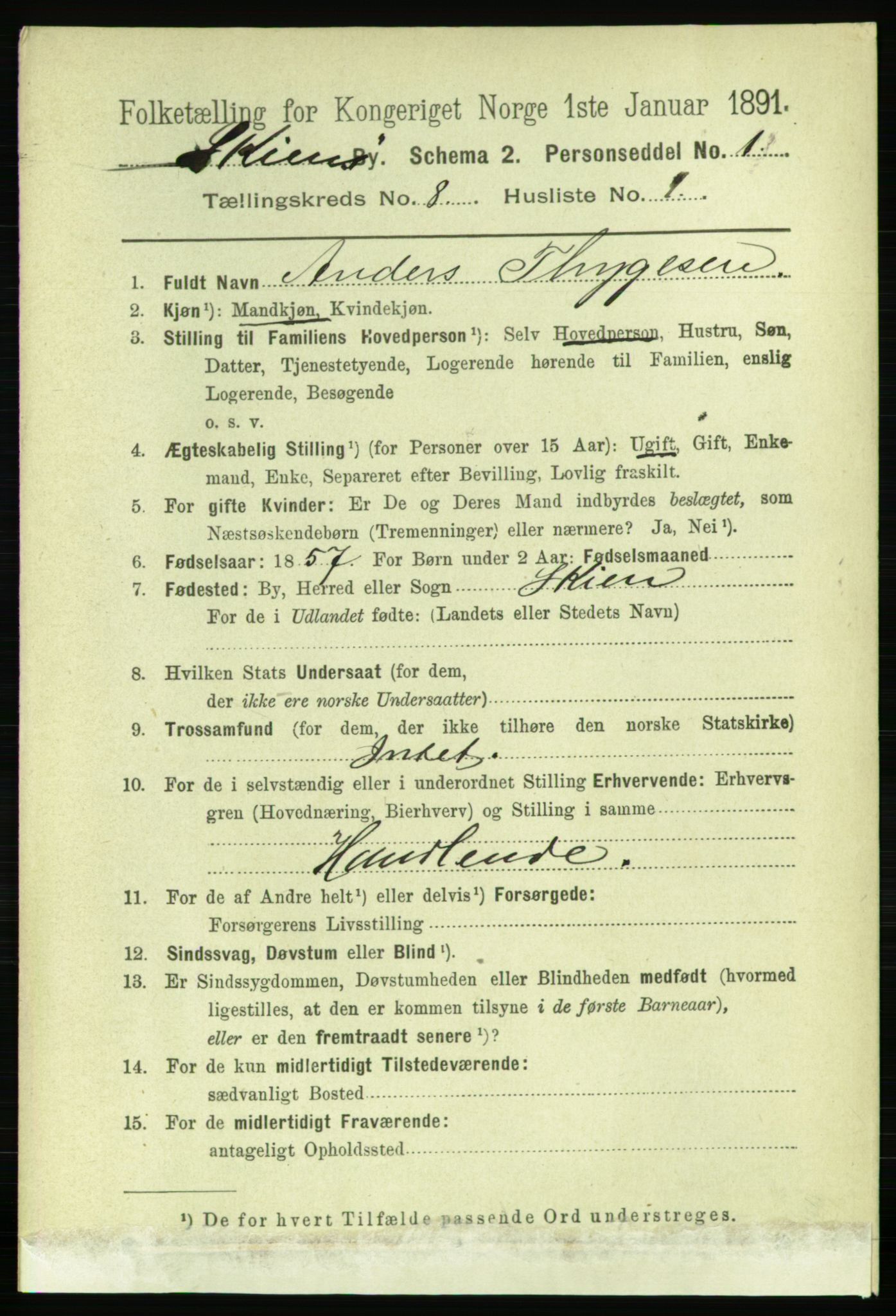 RA, 1891 census for 0806 Skien, 1891, p. 3268