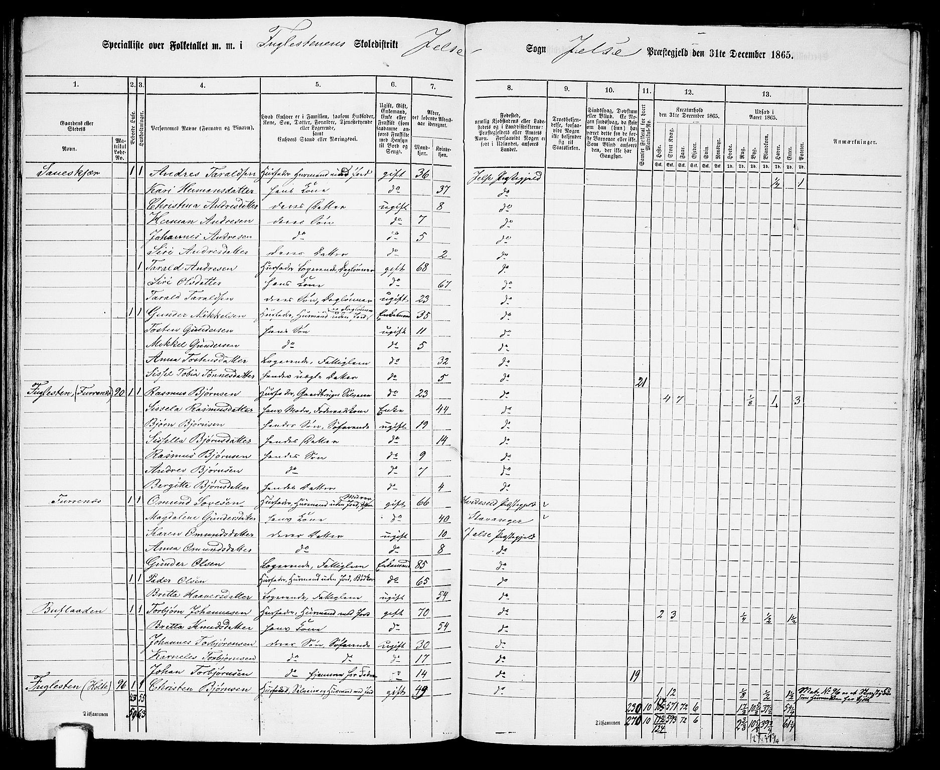 RA, 1865 census for Jelsa, 1865, p. 91