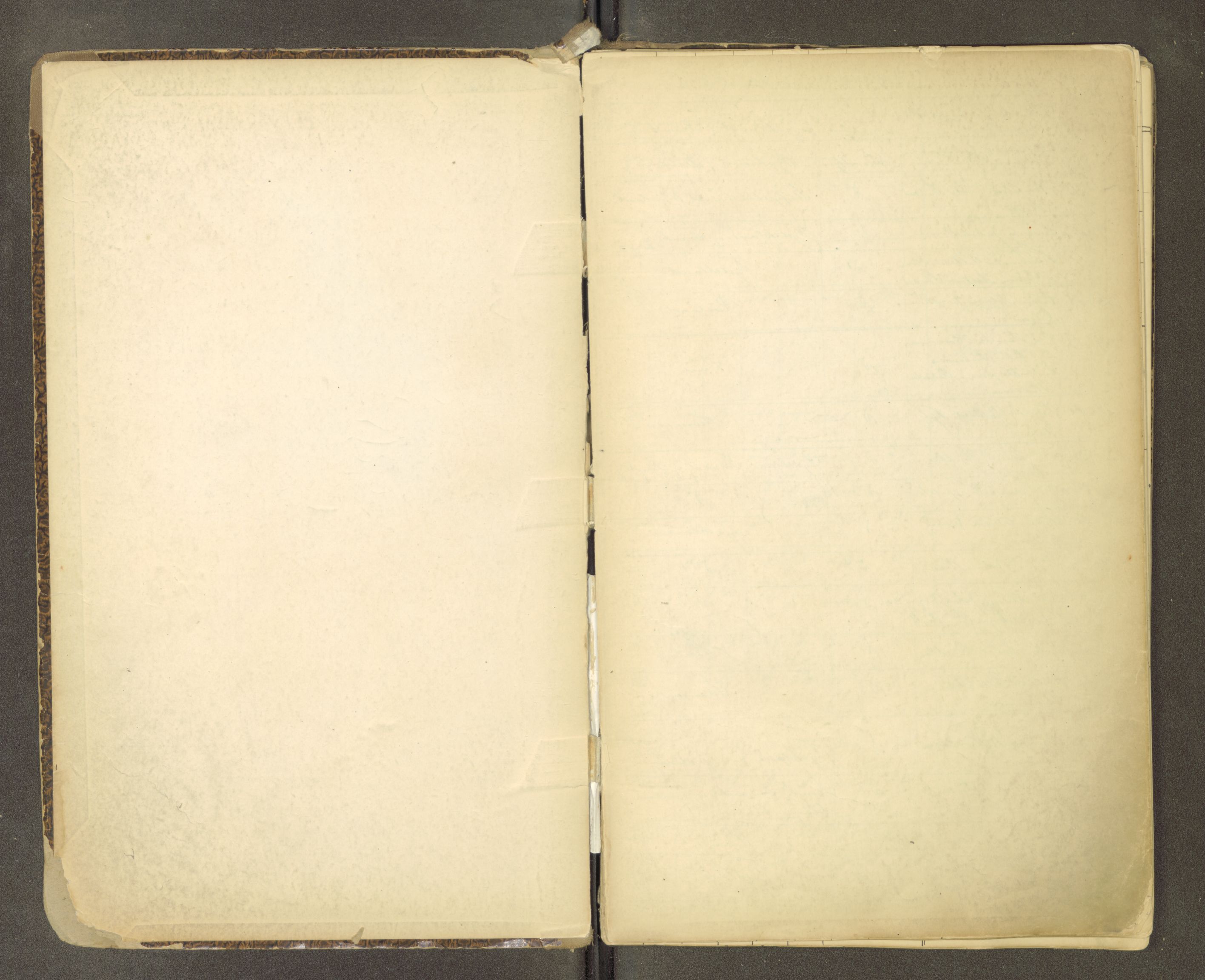 Trondheim politikammer, AV/SAT-A-1887/1/30/L0012: Passprotokoll. Utstedte pass, 1890-1908