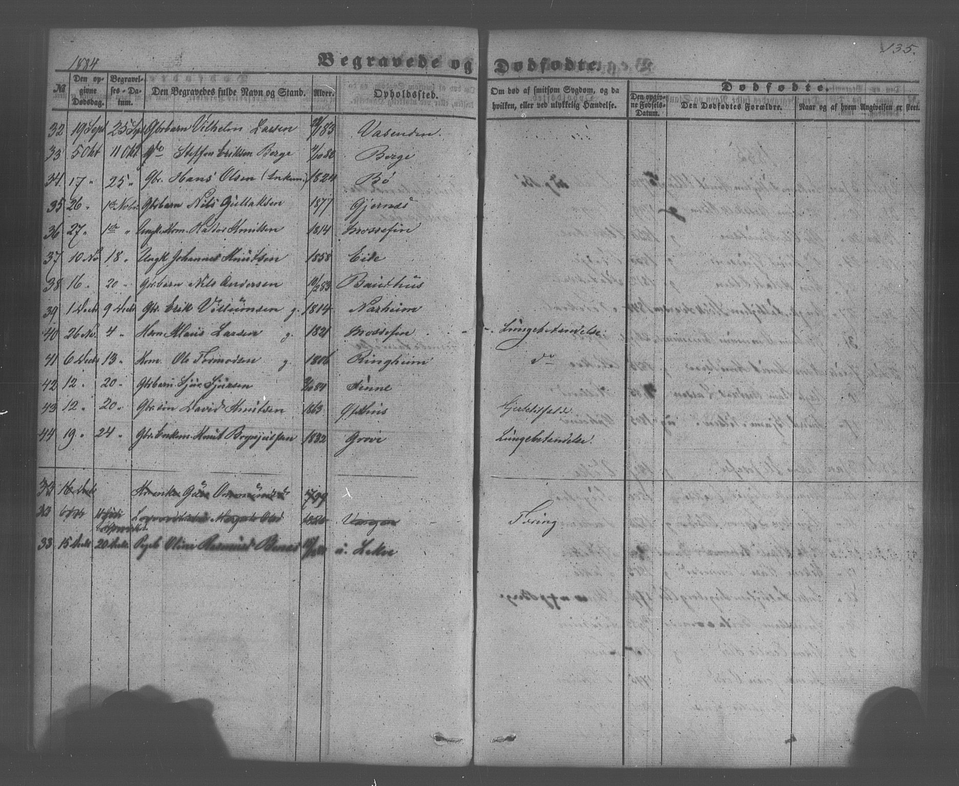 Voss sokneprestembete, SAB/A-79001/H/Haa: Parish register (official) no. A 20, 1855-1886, p. 135