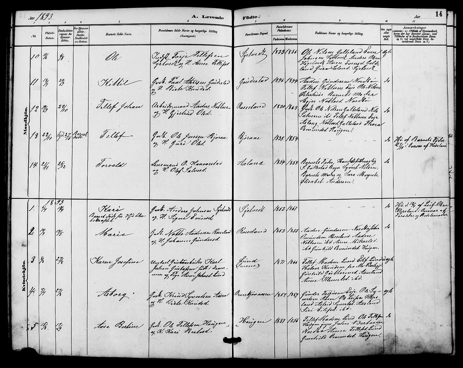 Evje sokneprestkontor, AV/SAK-1111-0008/F/Fb/Fba/L0003: Parish register (copy) no. B 3, 1888-1903, p. 15