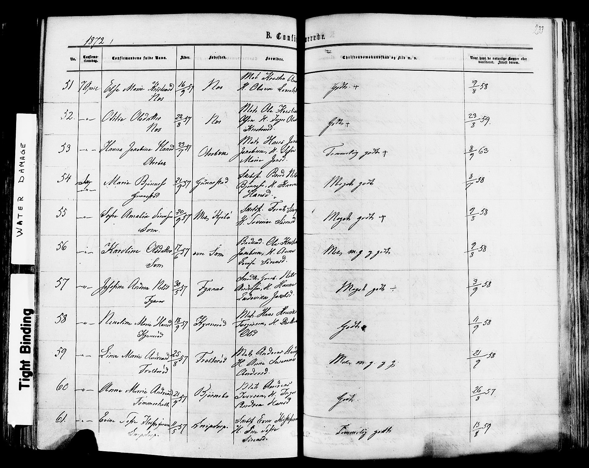 Nøtterøy kirkebøker, AV/SAKO-A-354/F/Fa/L0007: Parish register (official) no. I 7, 1865-1877, p. 233