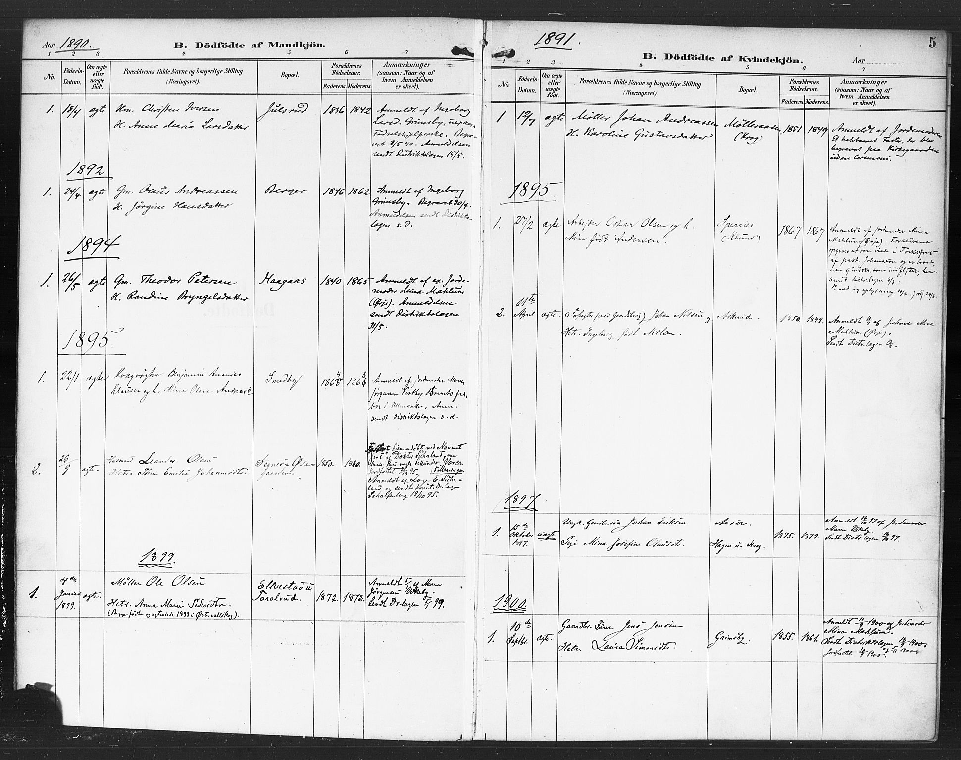 Rødenes prestekontor Kirkebøker, AV/SAO-A-2005/F/Fa/L0010: Parish register (official) no. I 10, 1890-1900, p. 5