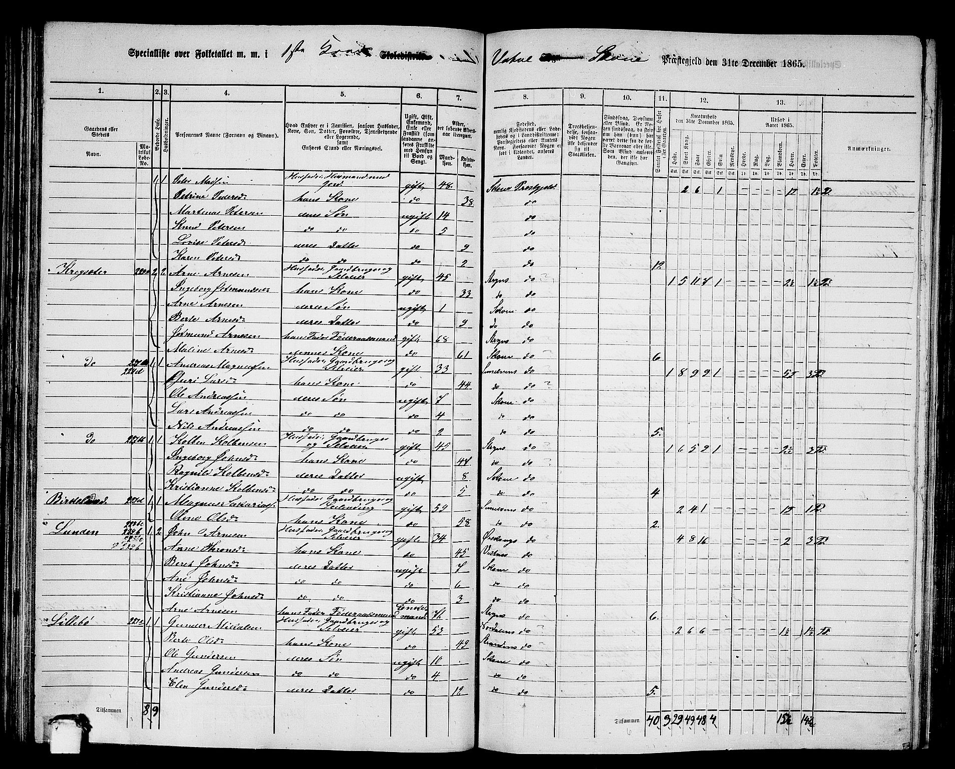 RA, 1865 census for Skodje, 1865, p. 74