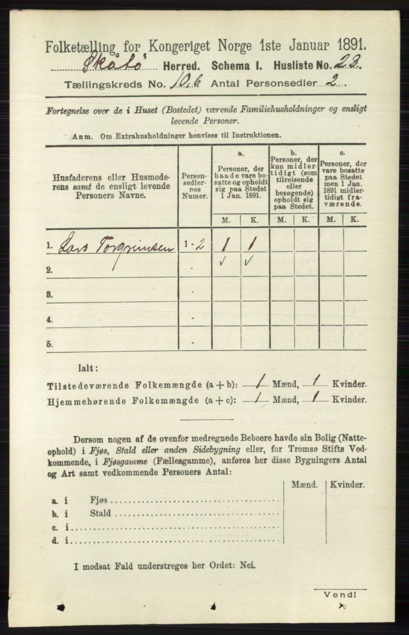 RA, 1891 census for 0815 Skåtøy, 1891, p. 4129