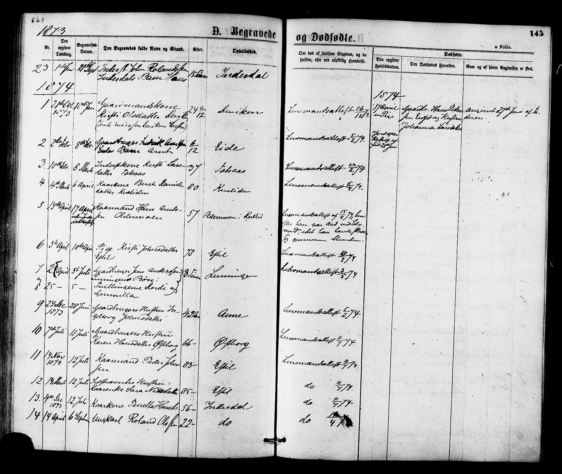 Ministerialprotokoller, klokkerbøker og fødselsregistre - Nord-Trøndelag, SAT/A-1458/755/L0493: Parish register (official) no. 755A02, 1865-1881, p. 145