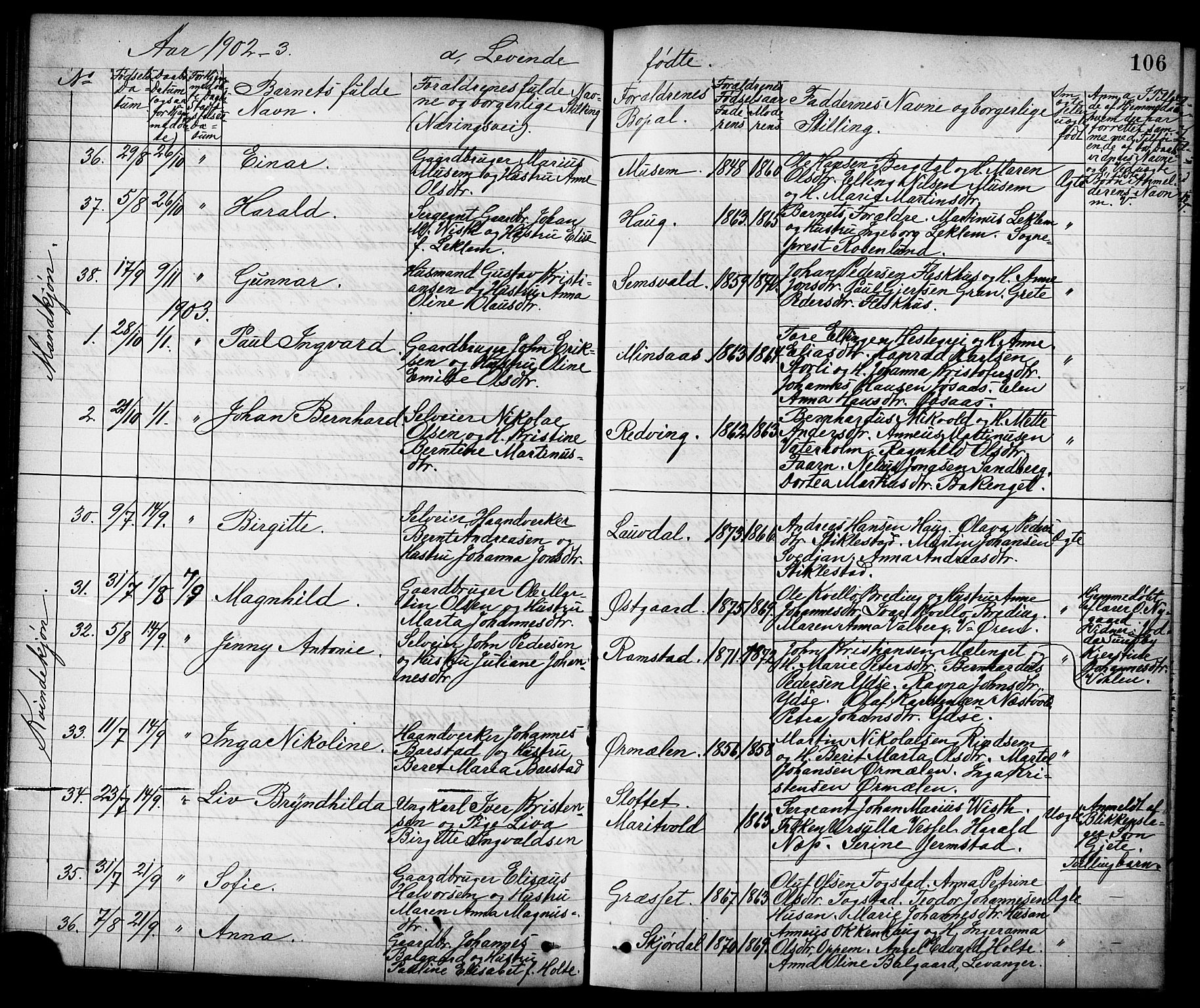 Ministerialprotokoller, klokkerbøker og fødselsregistre - Nord-Trøndelag, SAT/A-1458/723/L0257: Parish register (copy) no. 723C05, 1890-1907, p. 106