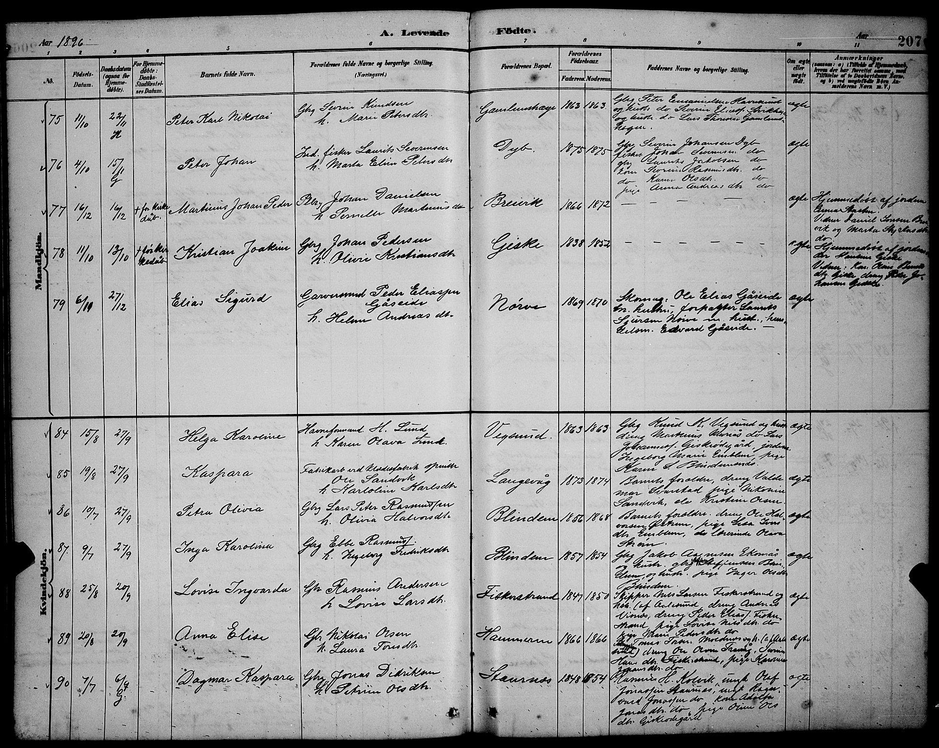 Ministerialprotokoller, klokkerbøker og fødselsregistre - Møre og Romsdal, AV/SAT-A-1454/528/L0431: Parish register (copy) no. 528C12, 1885-1898, p. 207