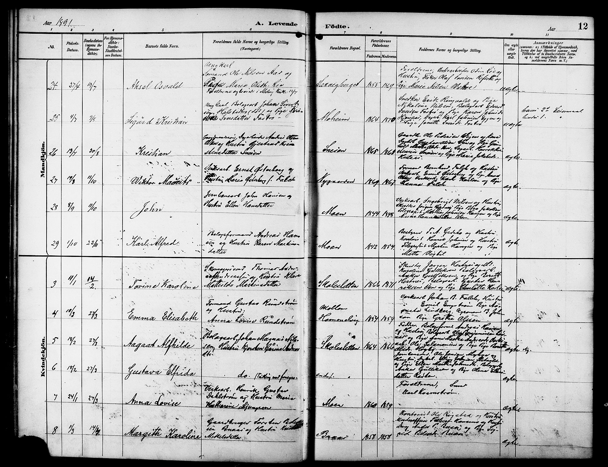 Ministerialprotokoller, klokkerbøker og fødselsregistre - Sør-Trøndelag, AV/SAT-A-1456/617/L0431: Parish register (copy) no. 617C01, 1889-1910, p. 12