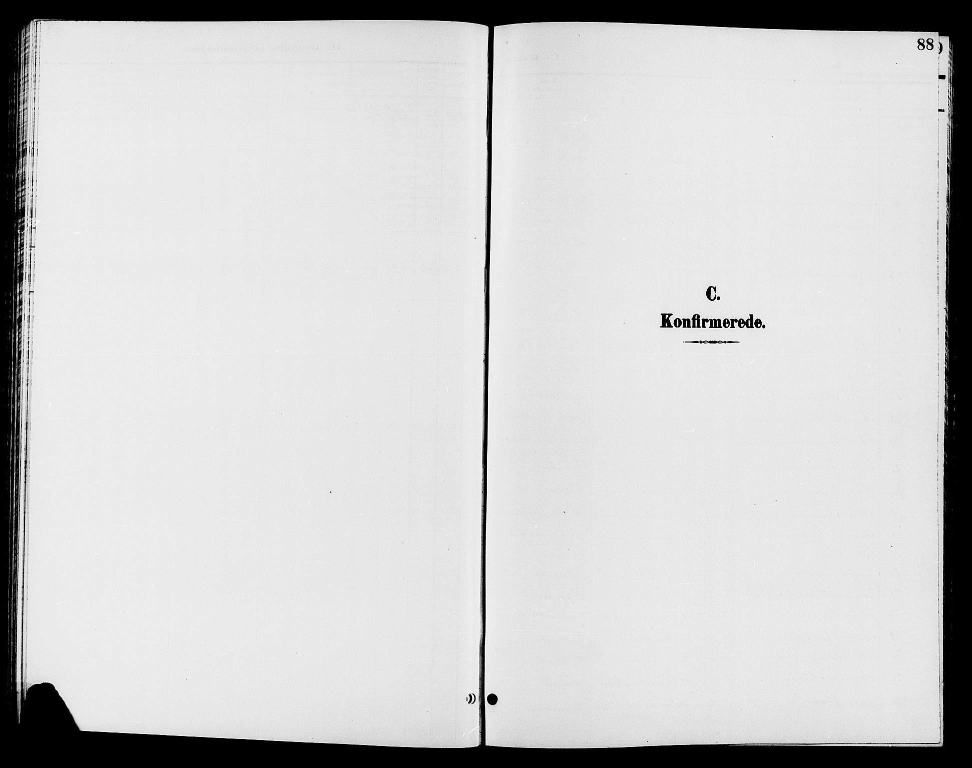 Jevnaker prestekontor, SAH/PREST-116/H/Ha/Hab/L0002: Parish register (copy) no. 2, 1896-1906, p. 88