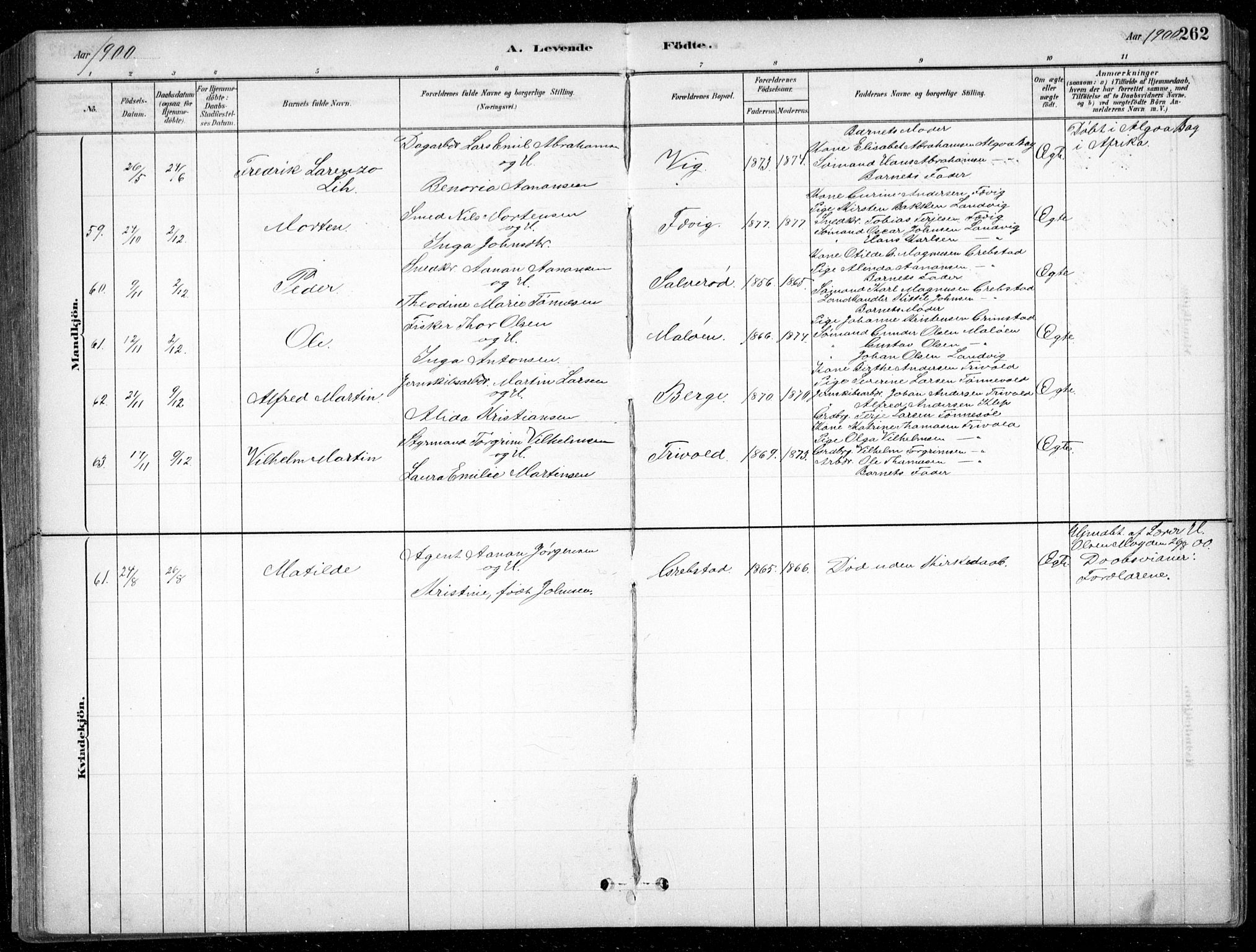 Fjære sokneprestkontor, SAK/1111-0011/F/Fb/L0011: Parish register (copy) no. B 11, 1881-1905, p. 262