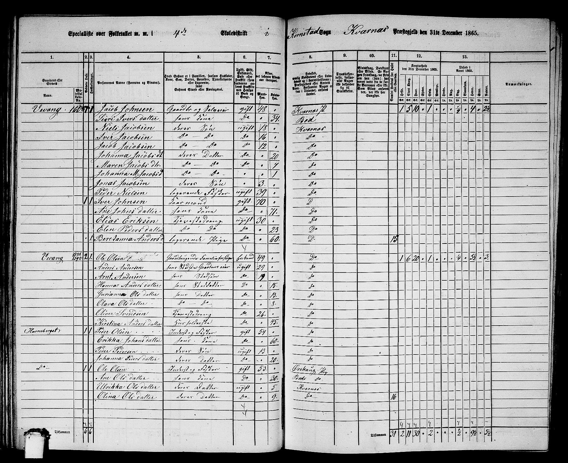 RA, 1865 census for Kvernes, 1865, p. 81